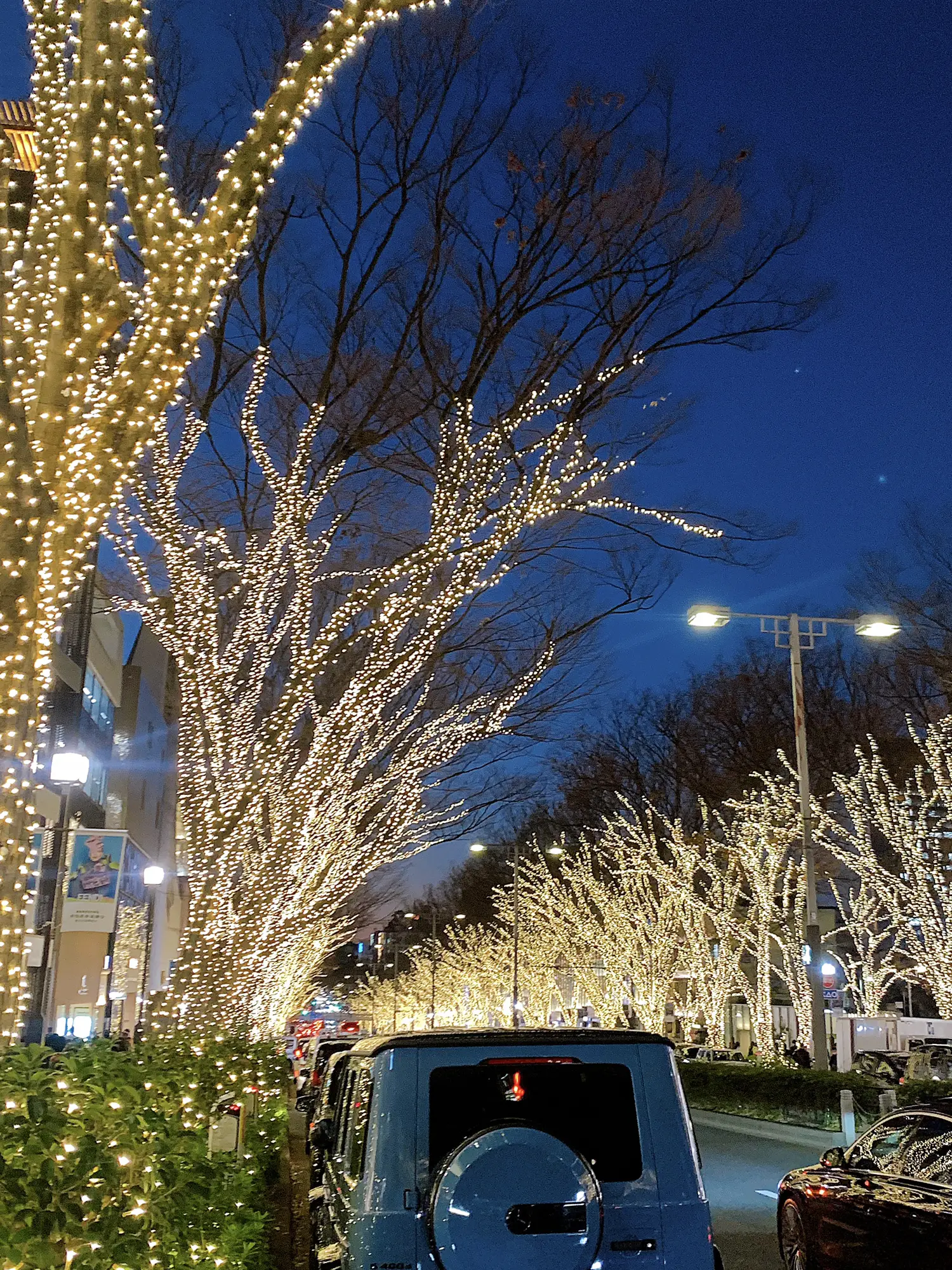 コストコクリスマスイルミネーション✨街灯 - クリスマス
