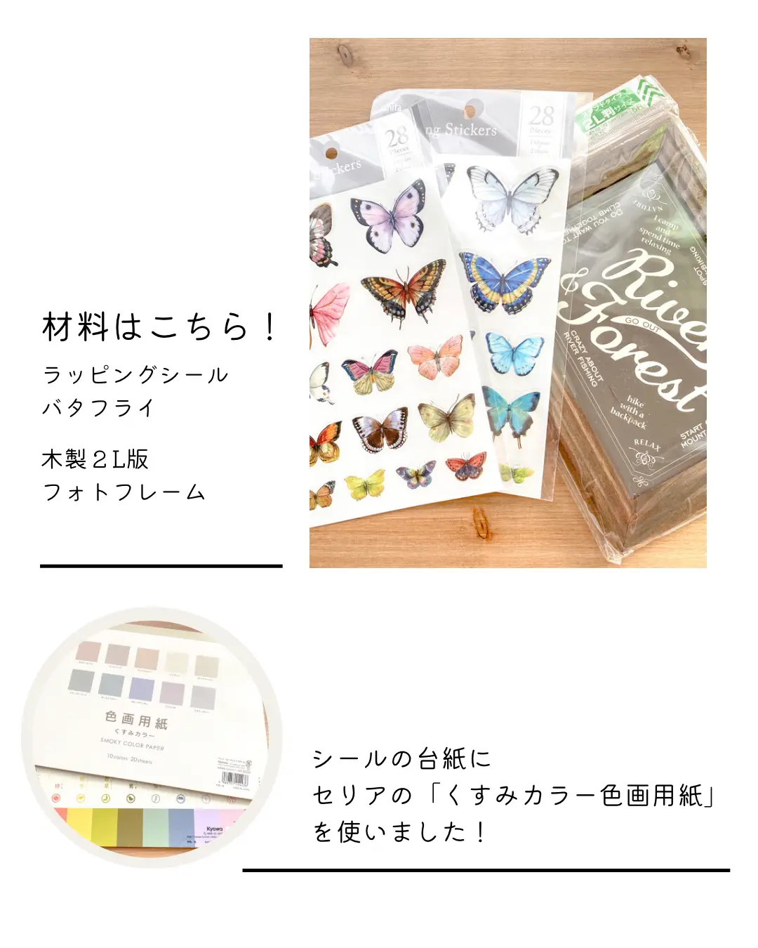 100均の材料で完成！！まるでほんもの？！リアルなちょうちょの標本！ | えむしーる@シールと手帳のひとが投稿したフォトブック | Lemon8