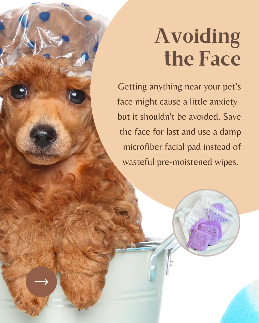 Dog clearance mantle wipes