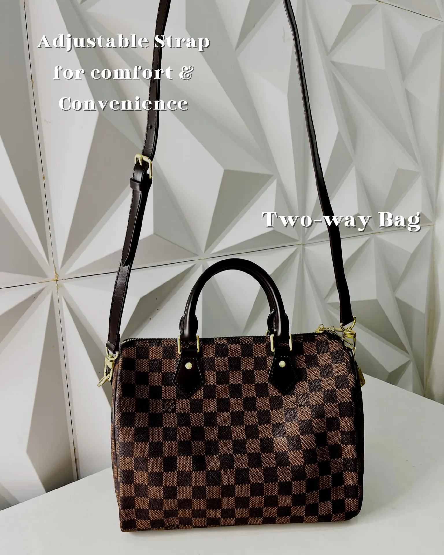 Louis Vuitton Speedy Mini HL Bag: What Fits? Styling Ideas and Mod
