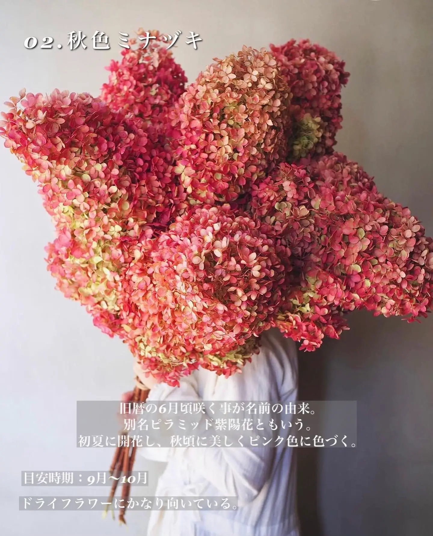 Flowers As A Gift from God - Lemon8検索