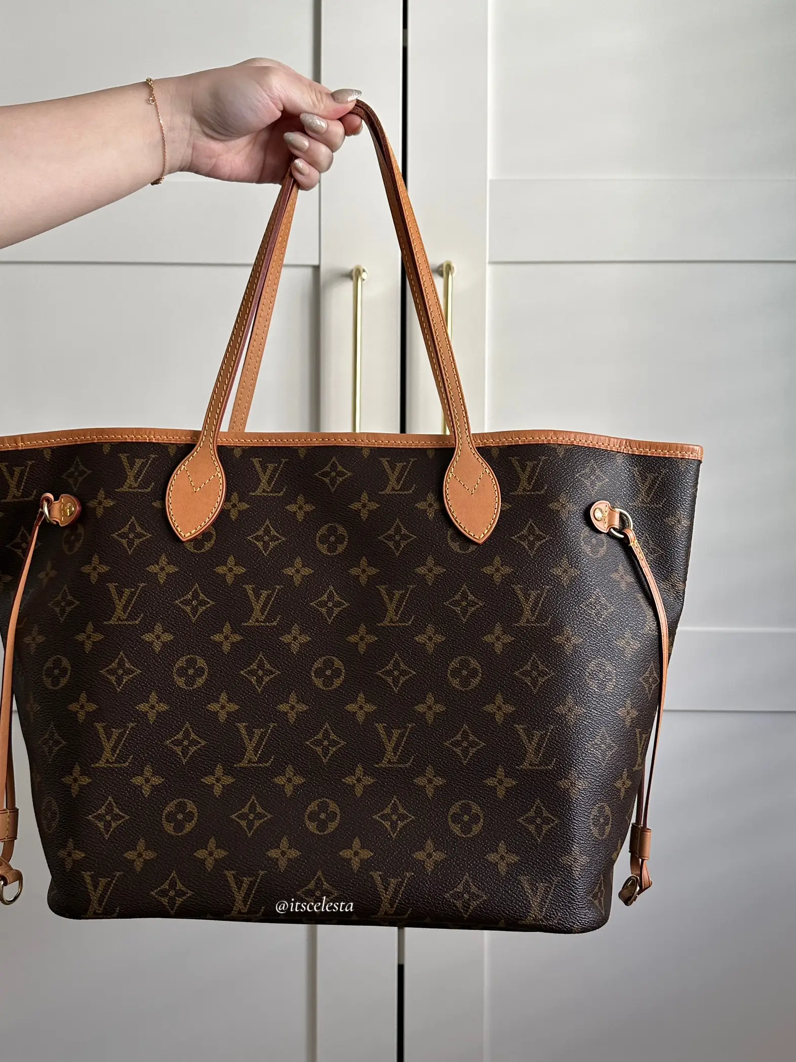 5 AFFORDABLE  Handbag Accessories (Louis Vuitton Neverfull