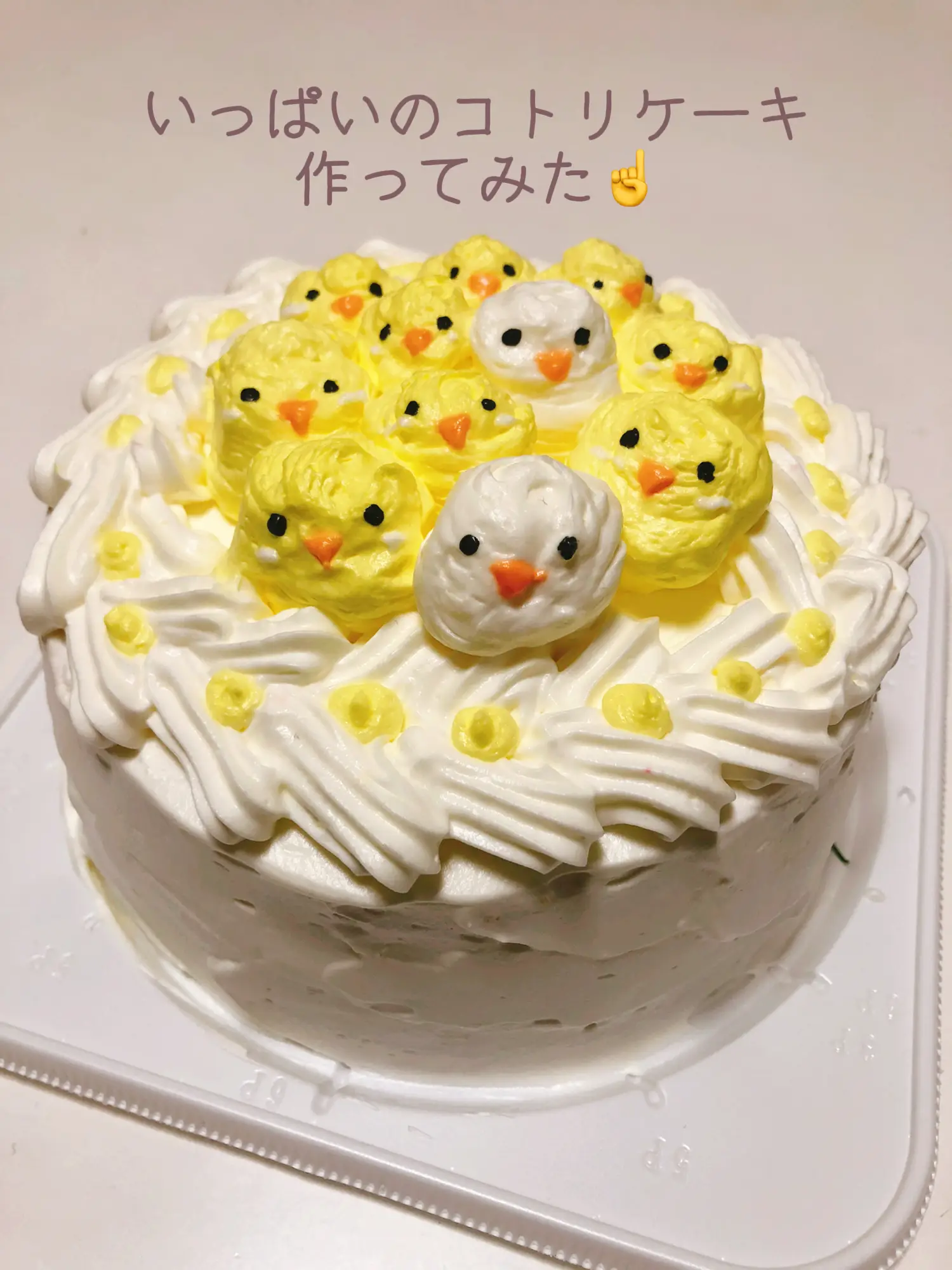 手作りケーキ〜 | ももみそが投稿したフォトブック | Lemon8