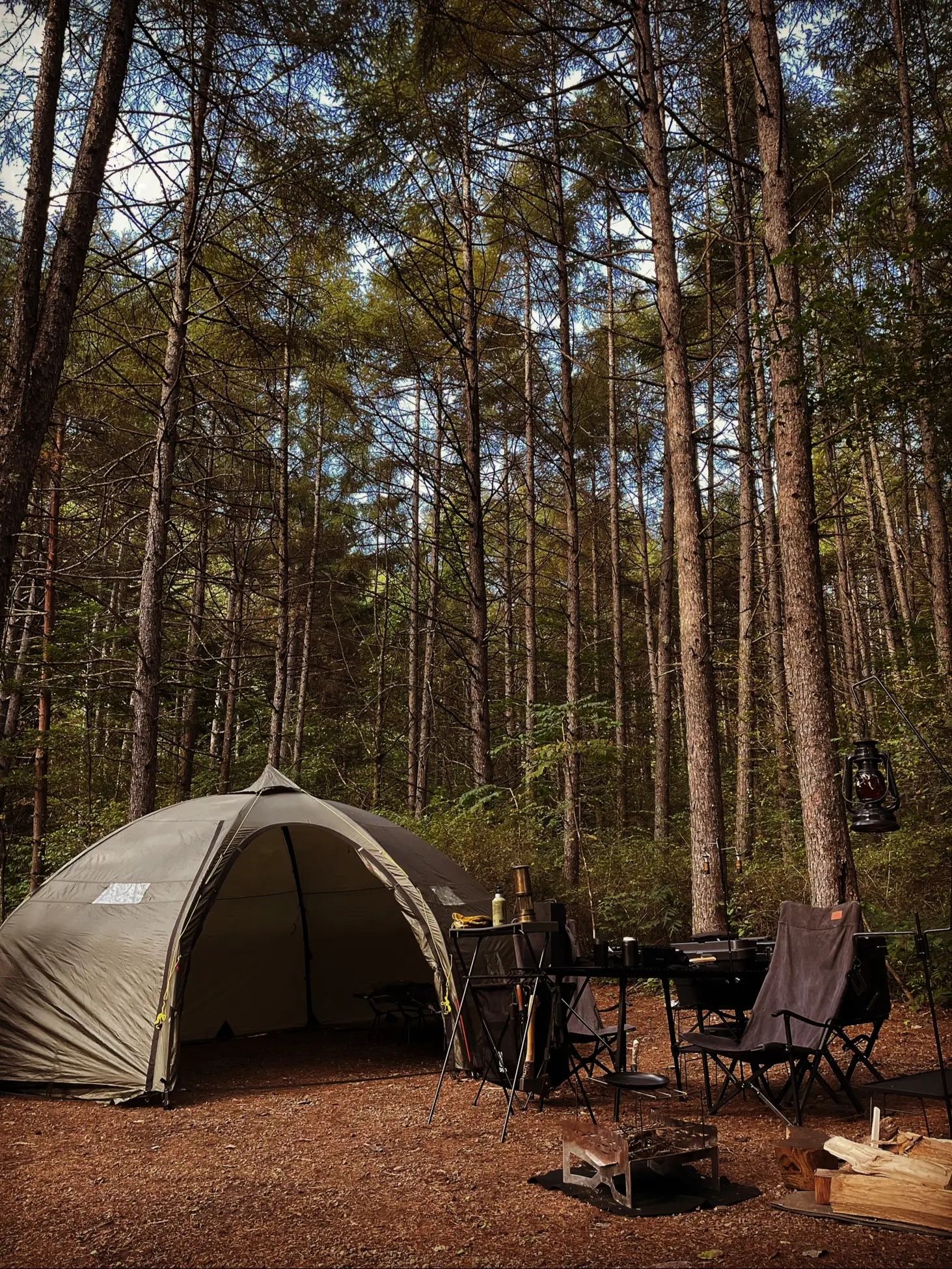 アビスコドーム3サンドカラー フェールラーベン Fjallraven / Abisko