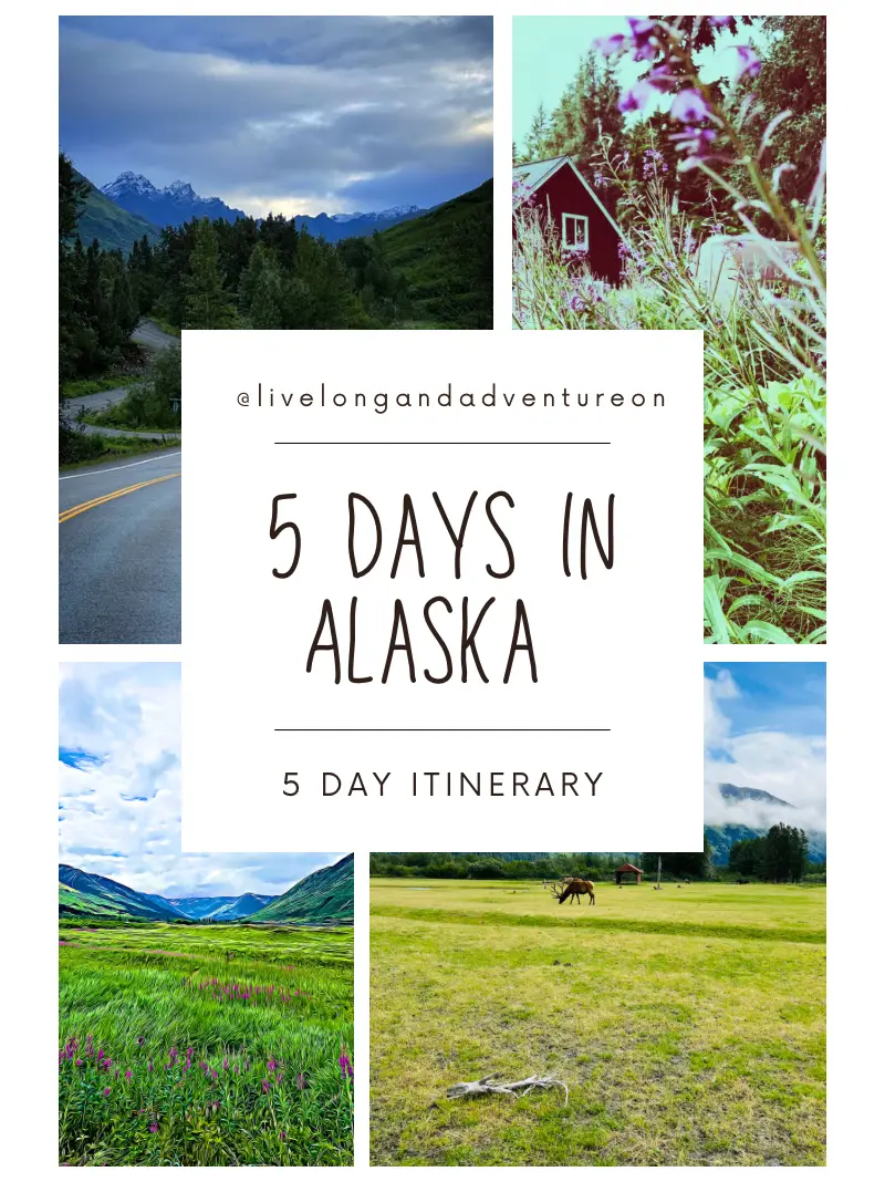 5 days outdoors in Alaska budget friendly! แกลเลอรีที่โพสต์โดย Liz B Lemon8