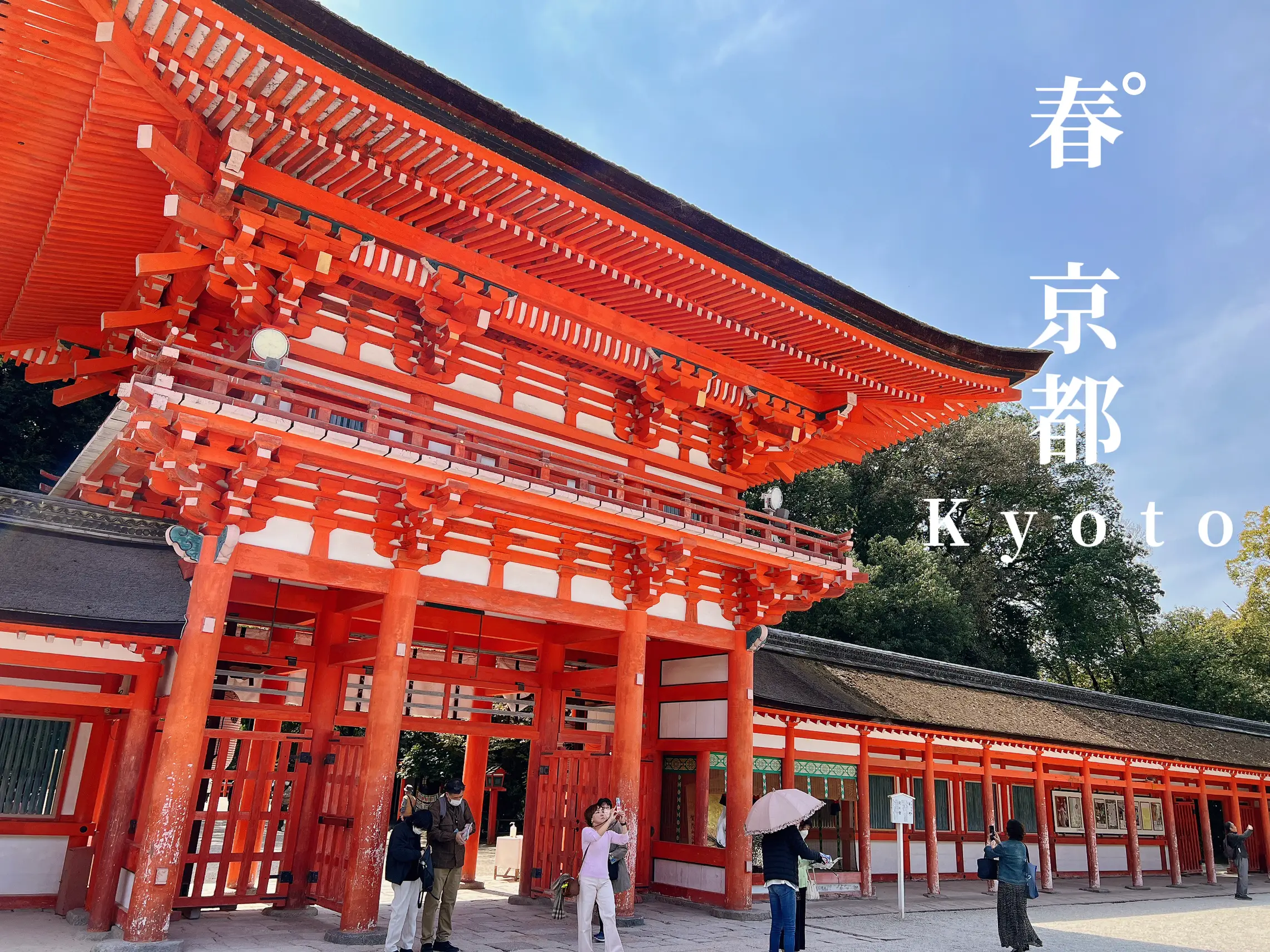 世界文化遺産✨下鴨神社⛩ | キンコイが投稿したフォトブック | Lemon8