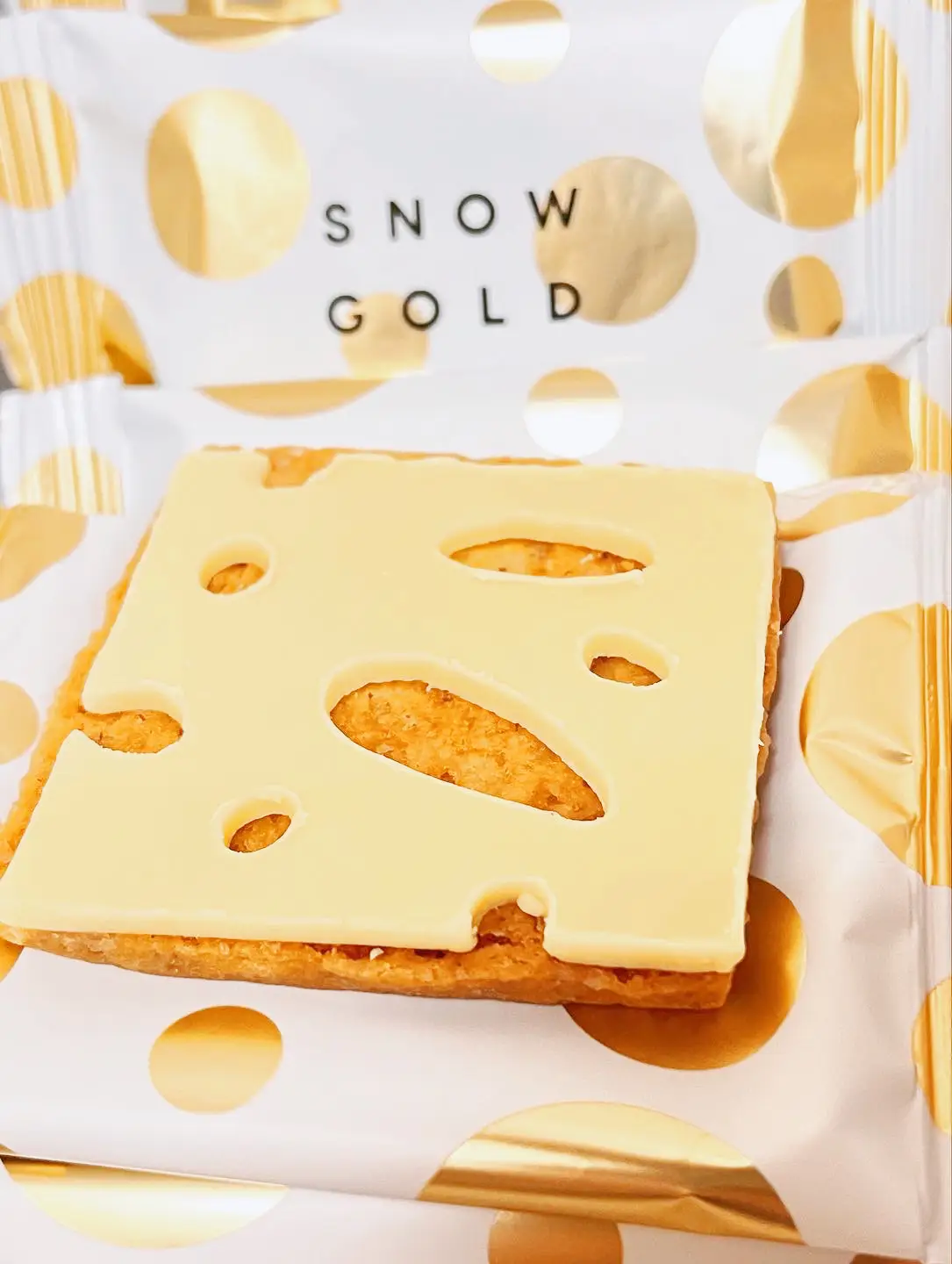 SNOW GOLD CHEESE スノーチーズ ゴールドチーズ 北海道限定 - 菓子