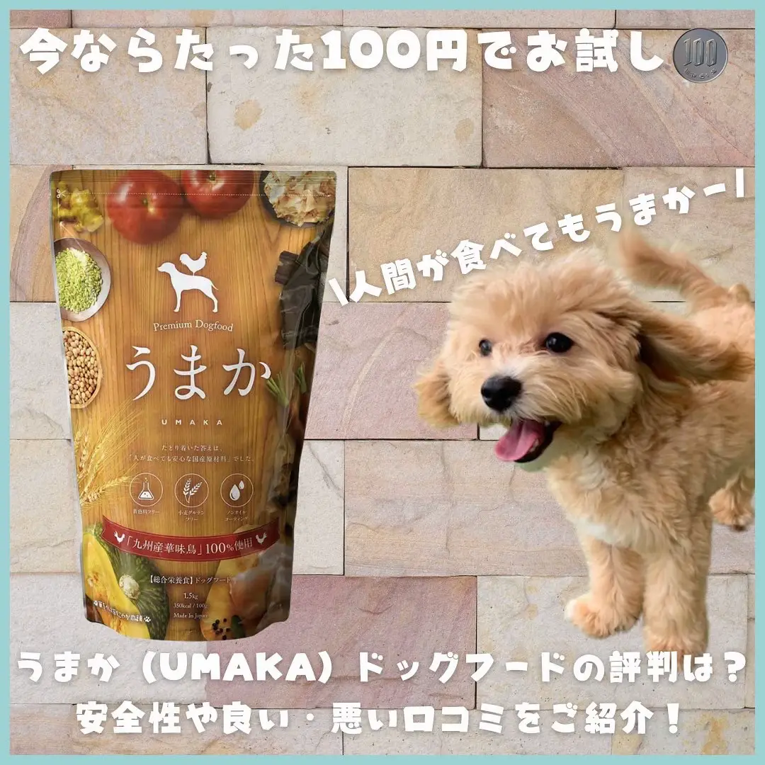 うまか ドッグフード 1.5kg✕4個の通販 by はい's shop｜ラクマ