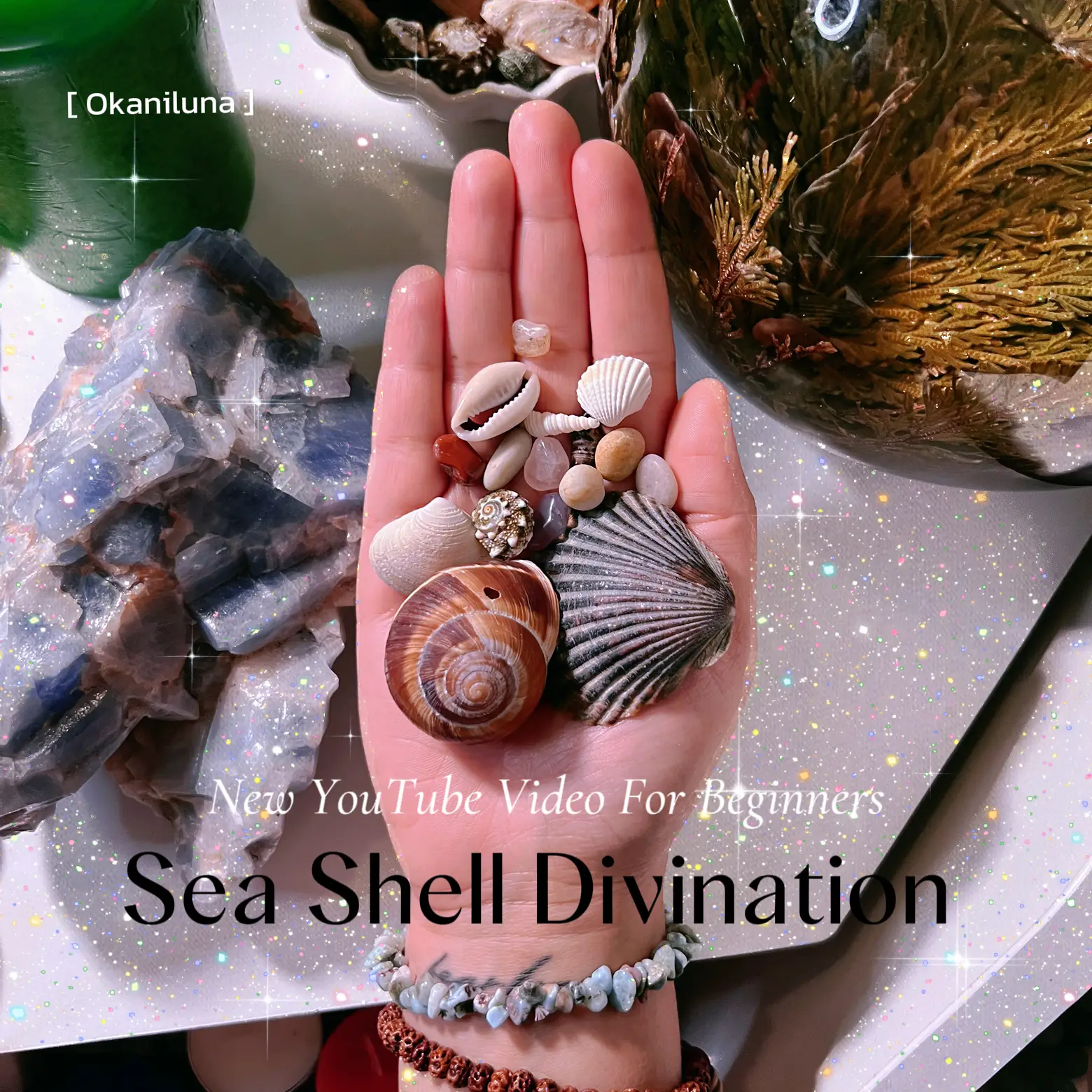 Seashell Divination on sale