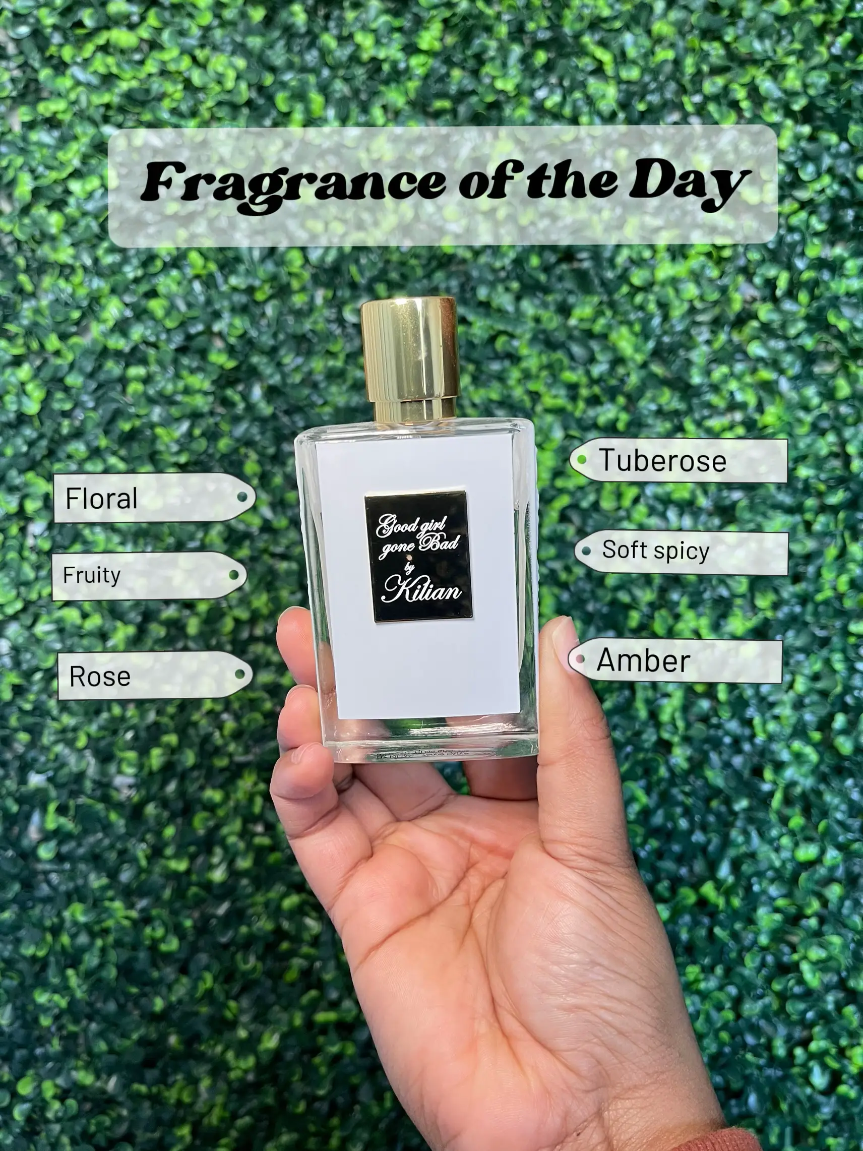 Tropic nectar scentsy