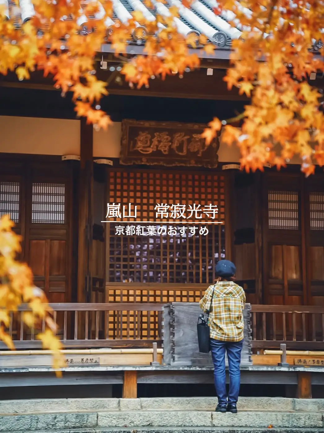 This week's recommendation: Kyoto autumn leaves | Jojakko-ji