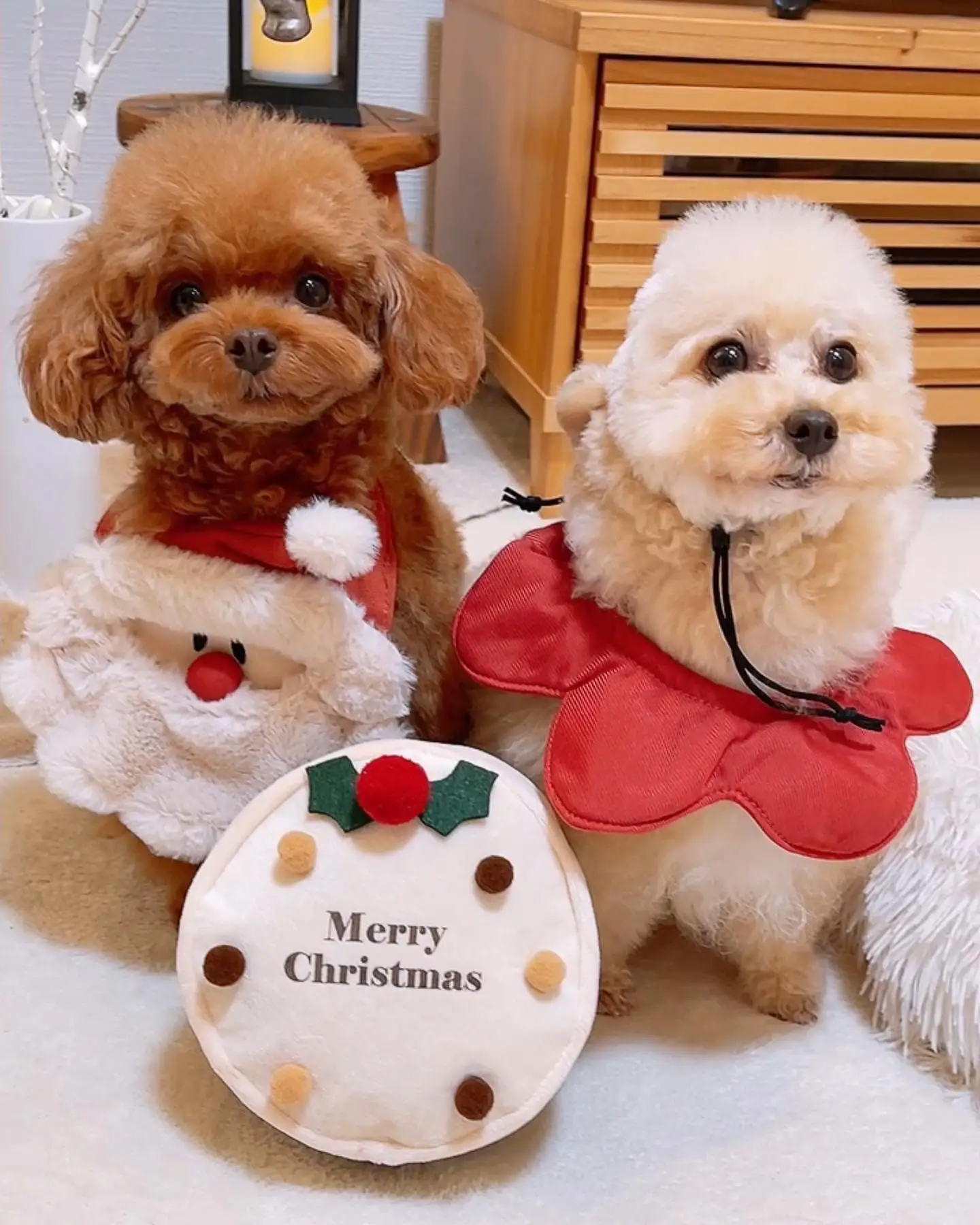 SOLD】クリスマス⭐オーナメント 3個セット トイプードル