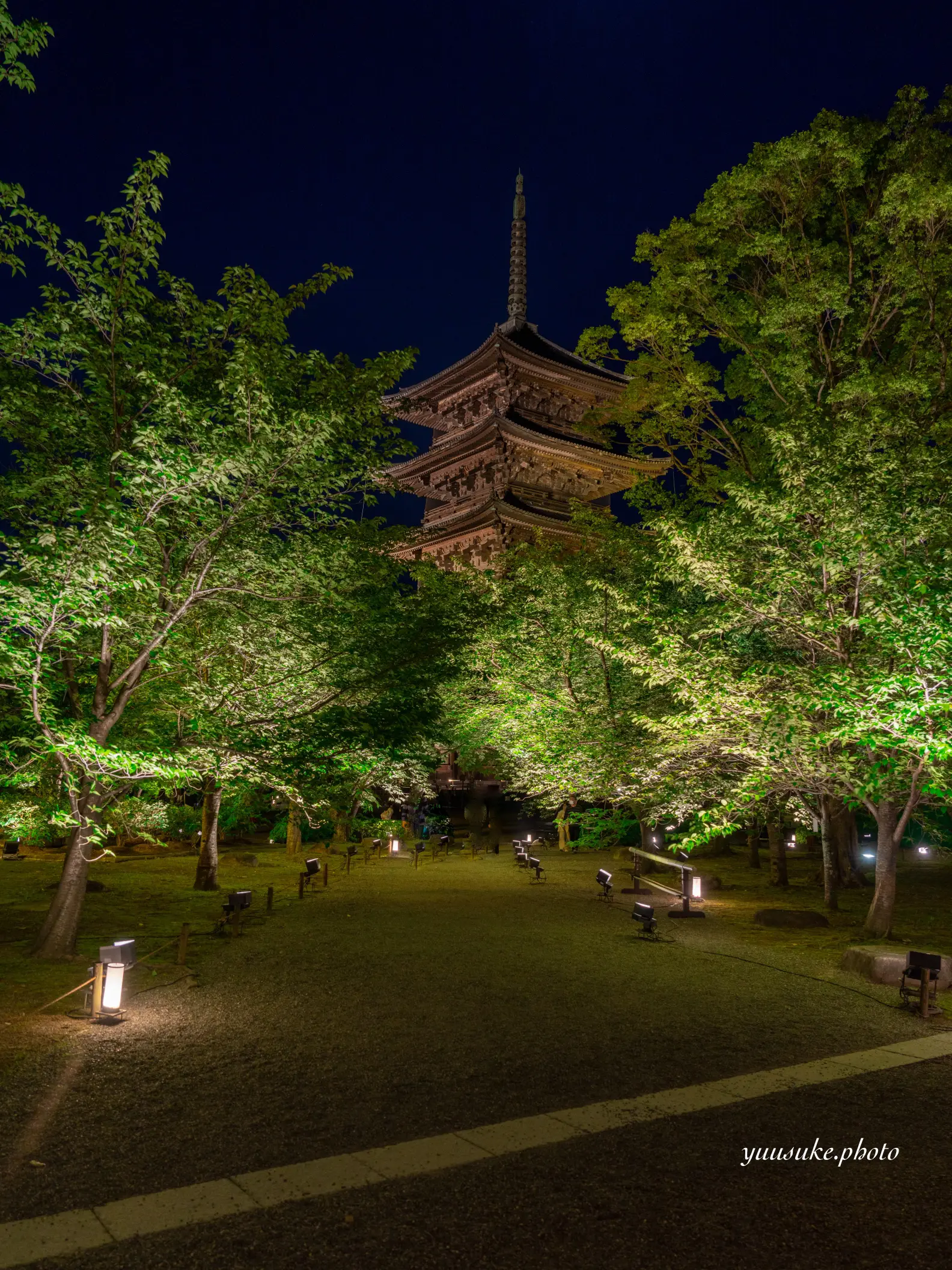 京都府࿓東寺で新緑のライトアップ開催中🍀⭐️これを見れば東寺の撮り