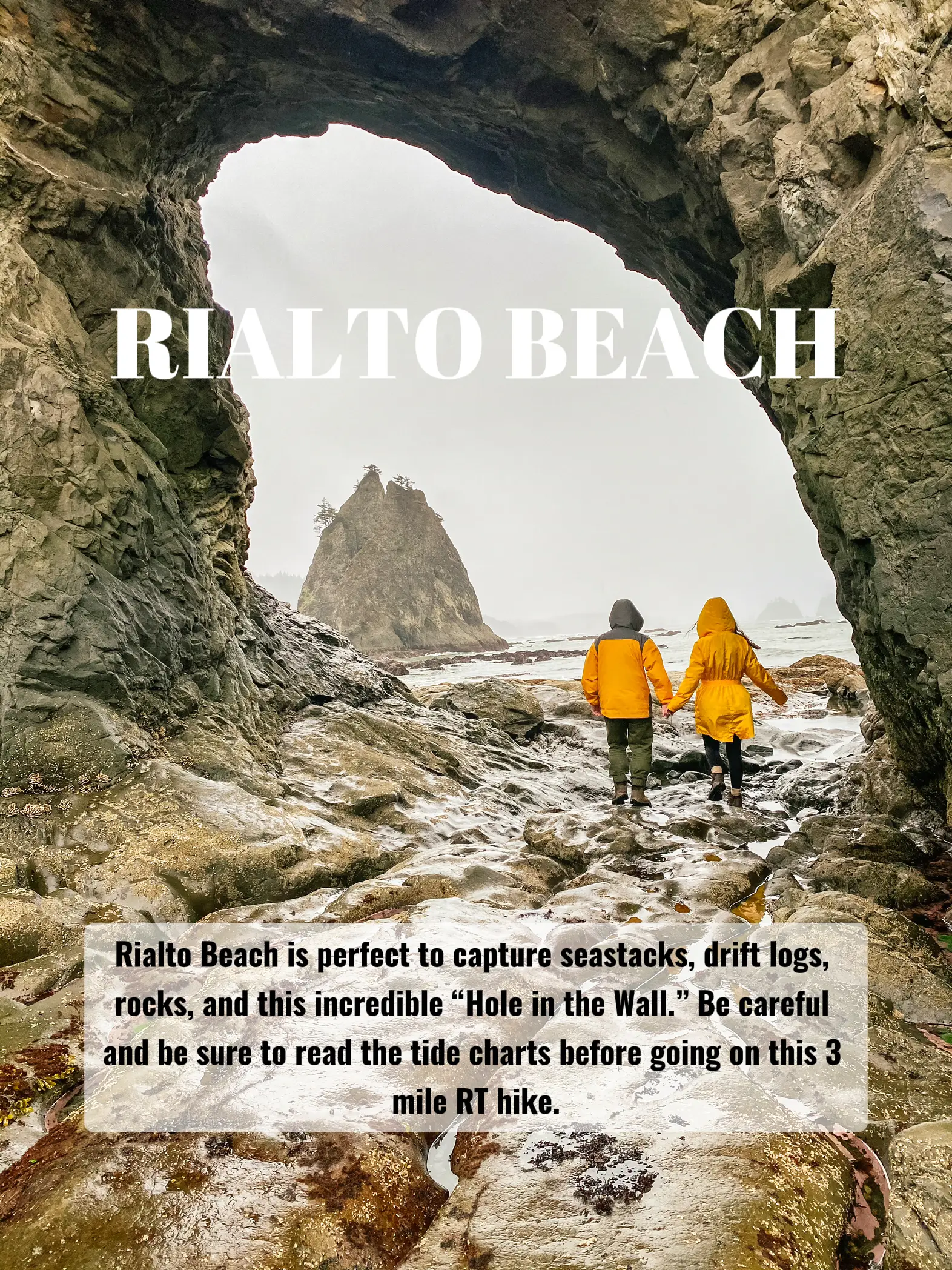 pictures of PNW road trip - Lemon8 Search