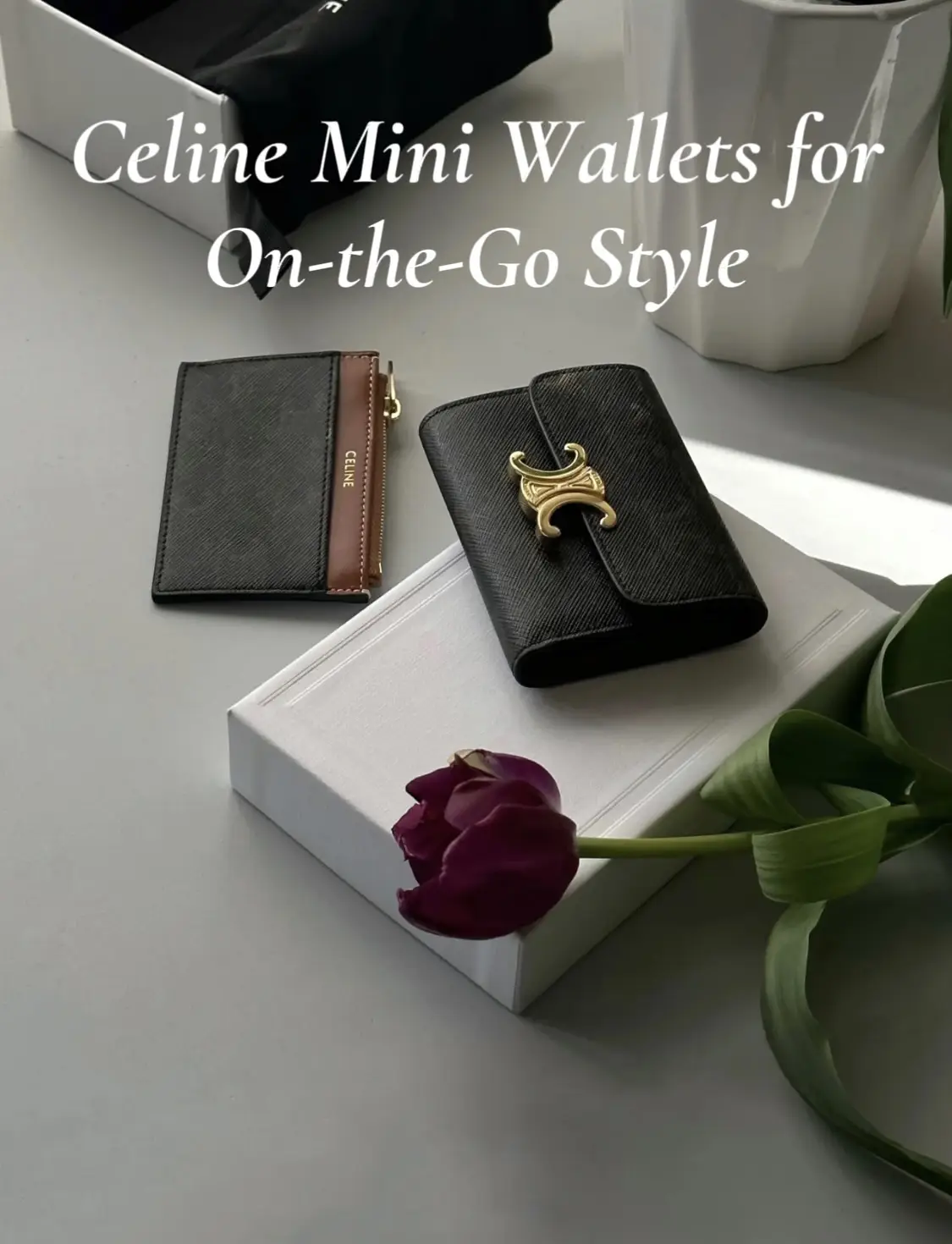 Celine Mini Wallets for On the Go Style   Gallery posted by Elliah