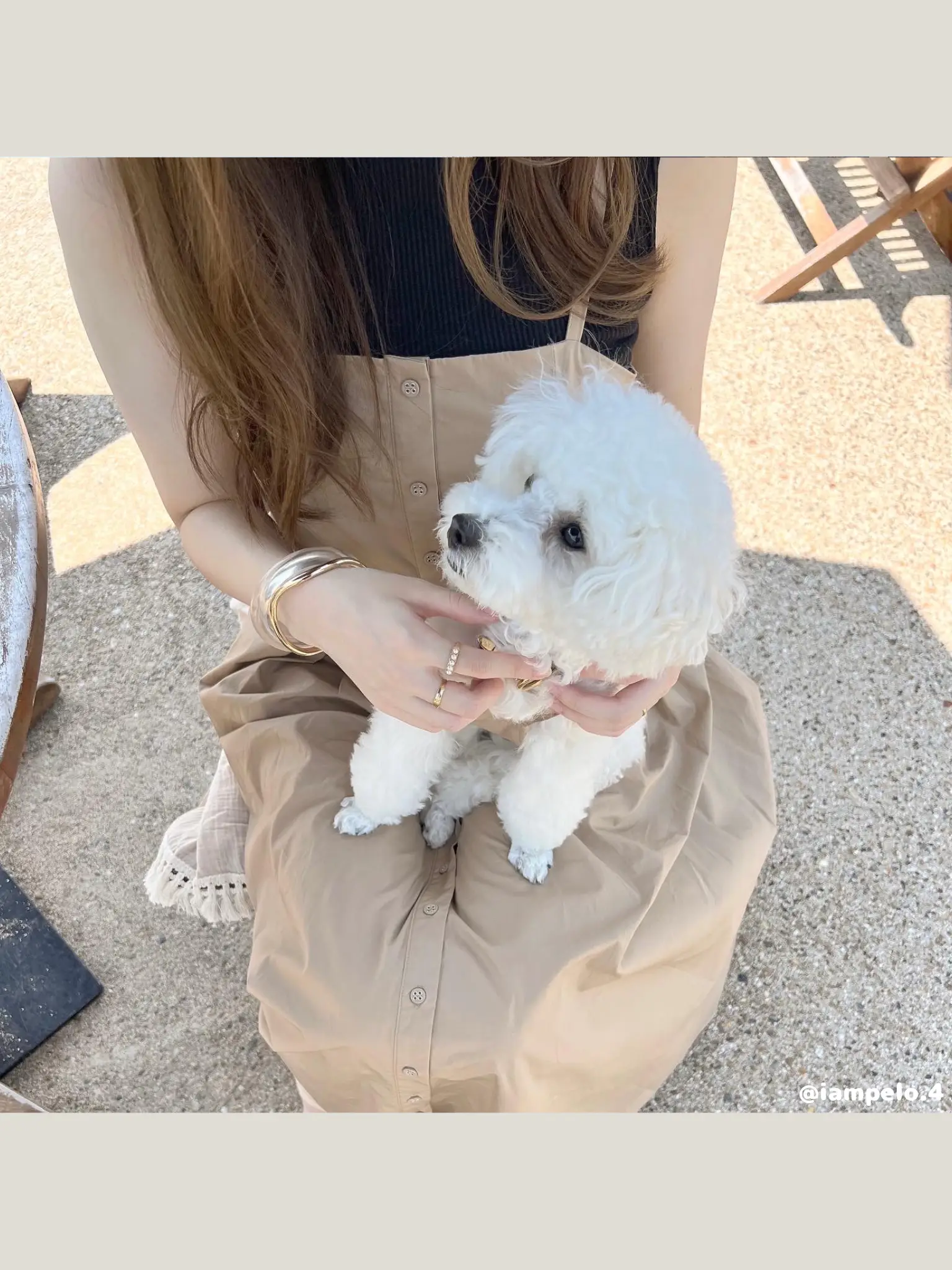 おしゃれすぎる犬服🐶✨ママとリンクコーデ   | 𝘱𝘦𝘭𝘰🐾 トイ