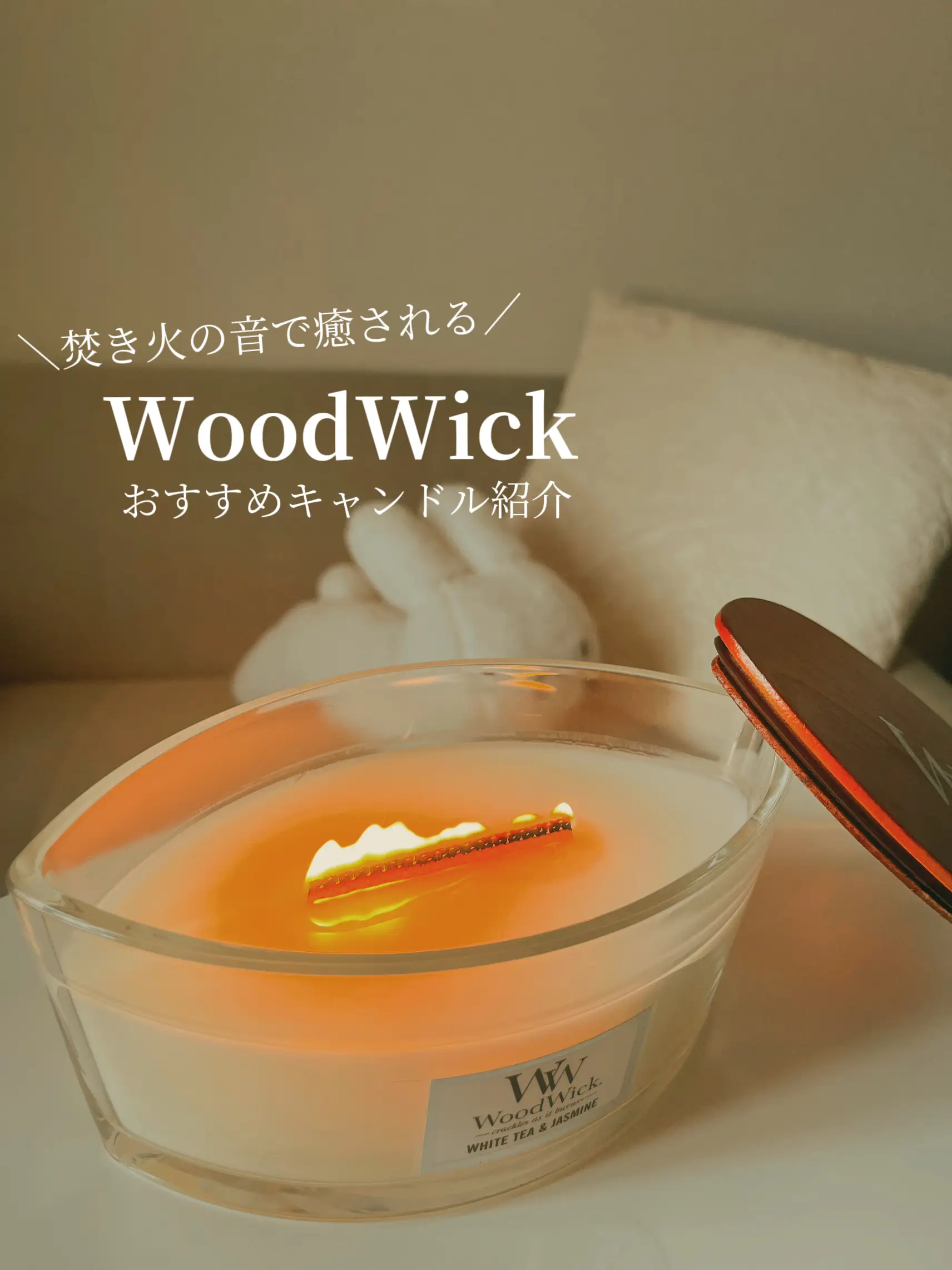 WOODS CANADA Cabin Shade 鉄骨テント カナダ ビンテージ チェア 