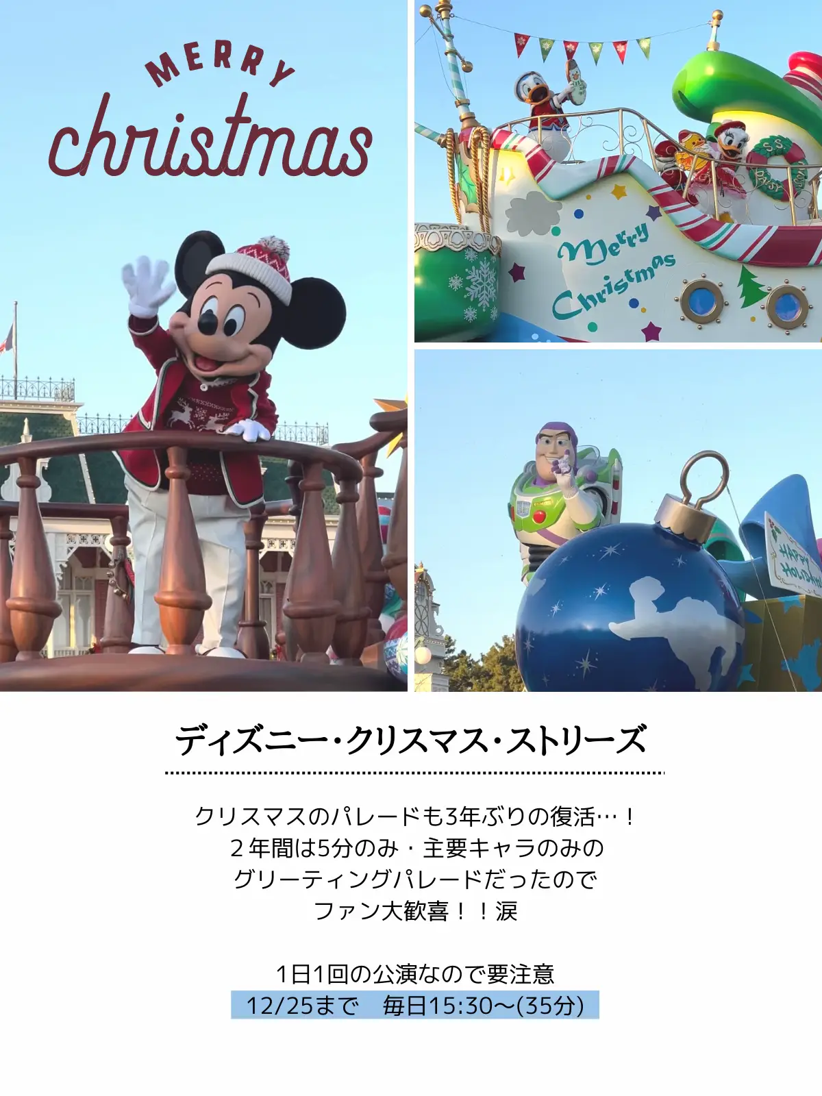 ディズニーXmas🎅巨大ツリー＆パレードが3年ぶりに復活🎄完全攻略＆重大注意点も⚠️ | YUKI ✈︎ おでかけ先提案が投稿したフォトブック |  Lemon8