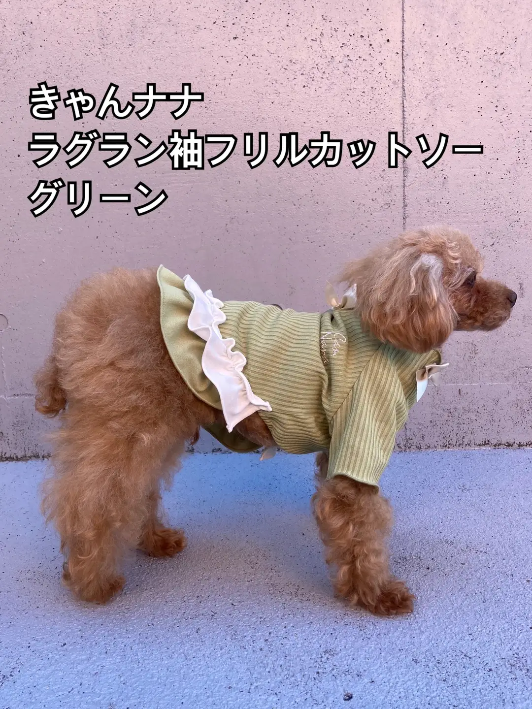 犬服 3S わんこの普段着　レトロデイジー 犬服 3S わんこの普段着レトロデイジー