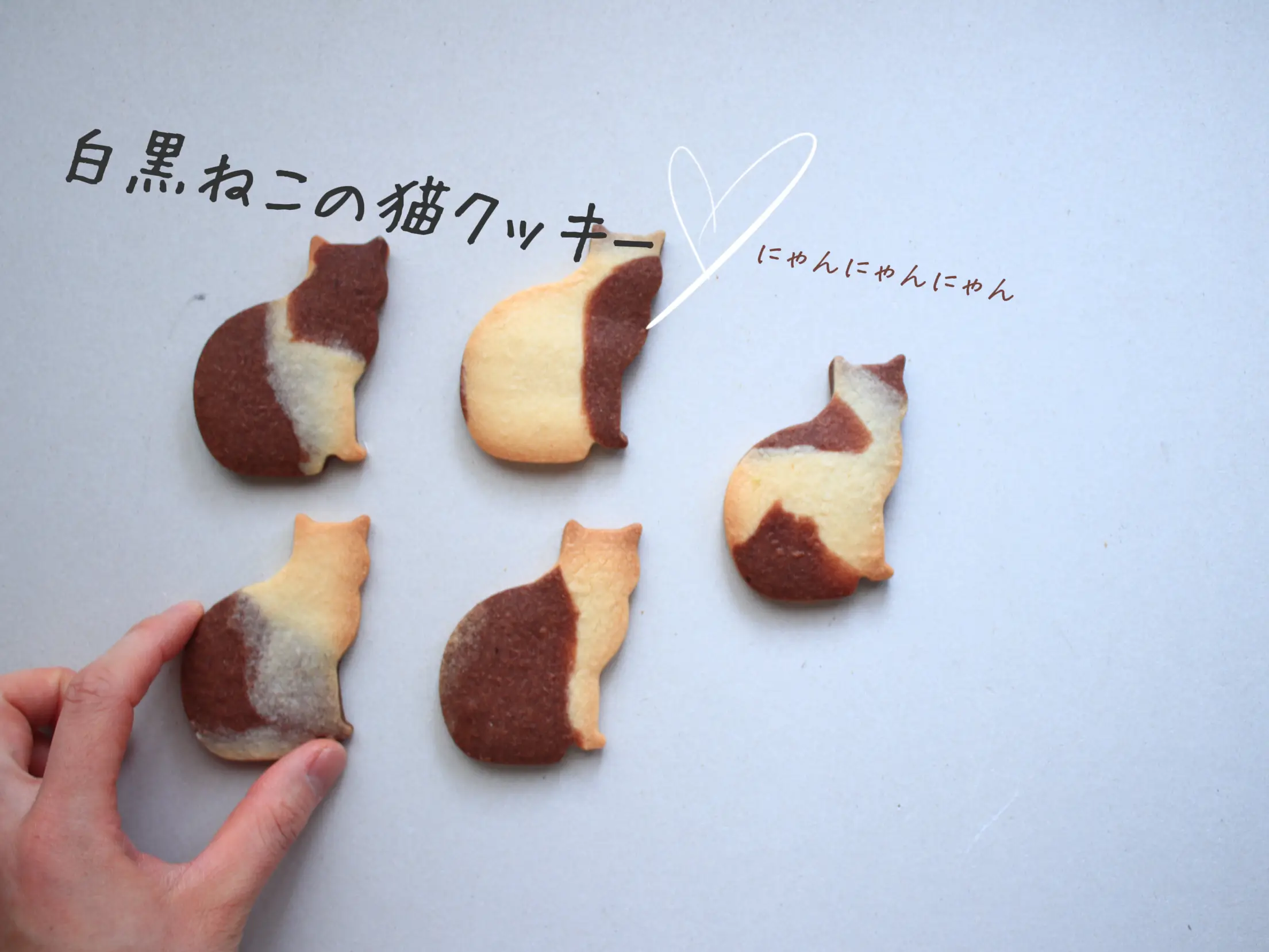 猫ちゃんの焼き菓子セット | hanasichiyoが投稿したフォトブック | Lemon8