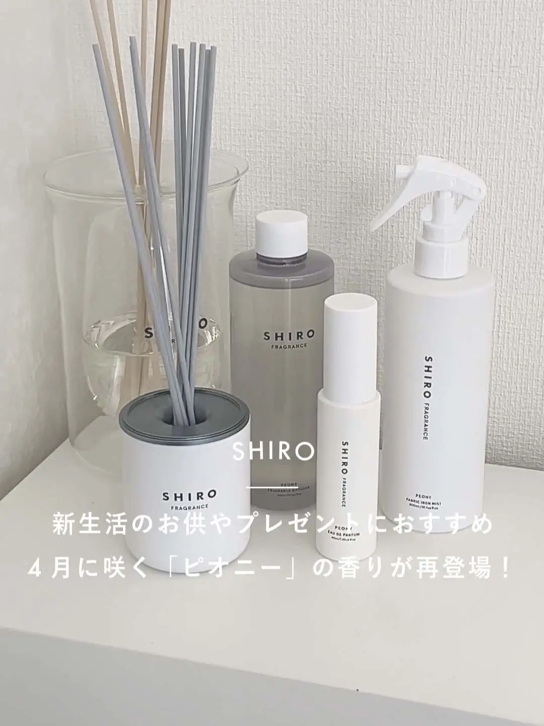 shiro ピオニー オードパルファン&練り香水 セット SHIRO ピオニー オードパルファン 40ml 練り香水セット シロ