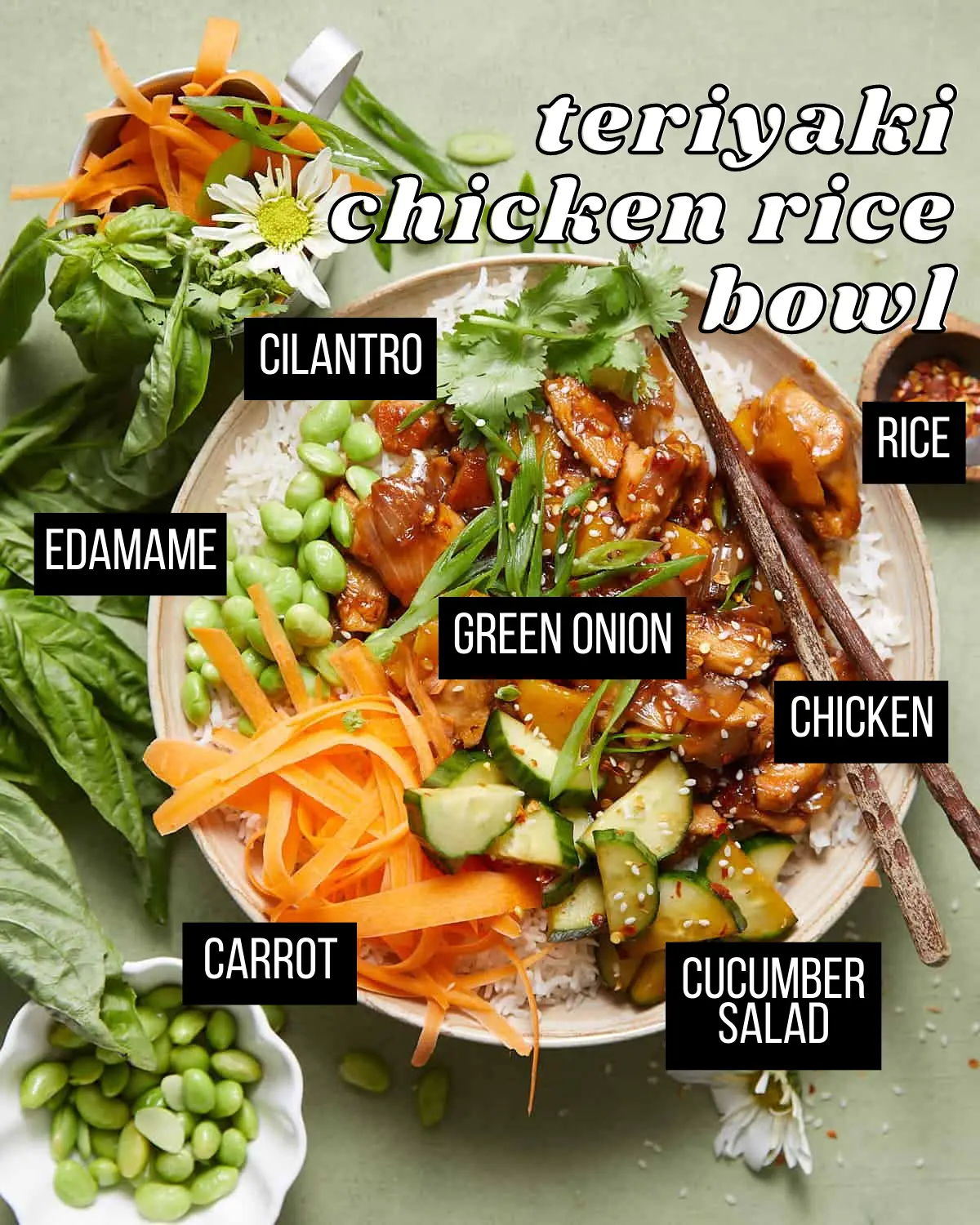 Teriyaki Chicken and Rice Bowl • The Candid Cooks