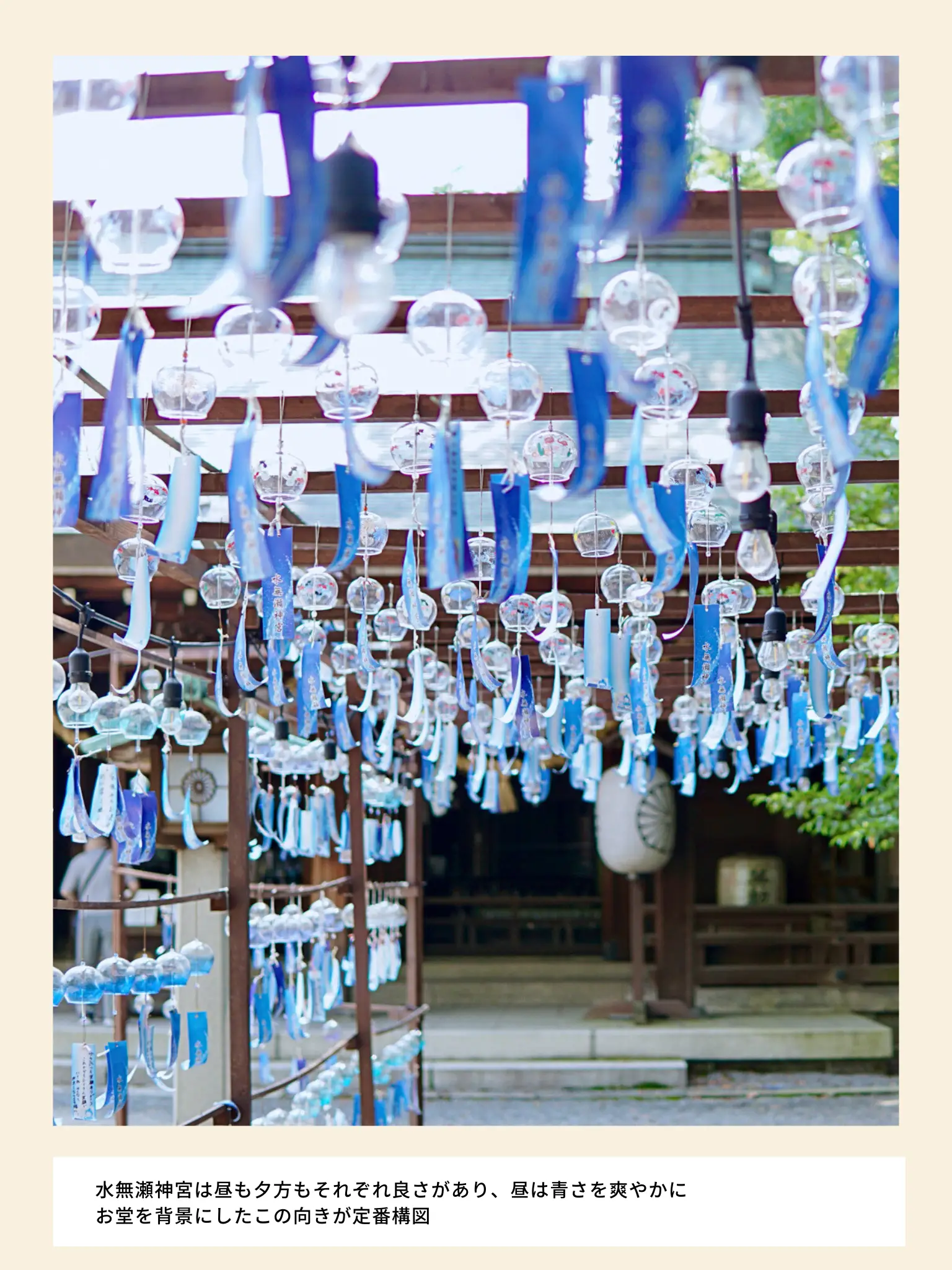 【ライトアップもある💡】水無瀬神宮の風鈴祭り（大阪）の画像 (1枚目)