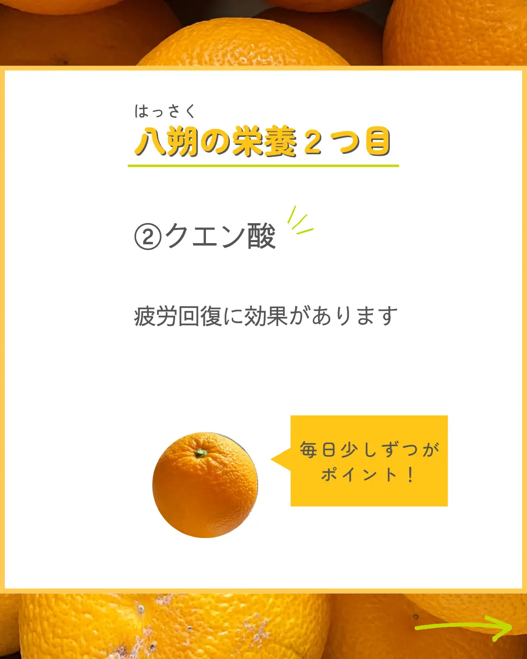 八朔の栄養🍊について | みかんファーム保井｜奇跡の🍊が投稿した