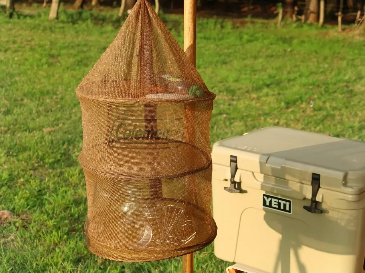 タマハシ 真っ青 レジャーボックス サボテン アウトドア 