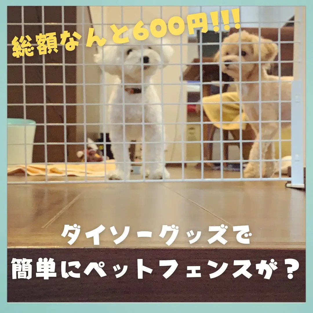 パン×犬が可愛すぎ❤︎ 入園入学グッズ 700円からオーダー可 - 手提げ ...