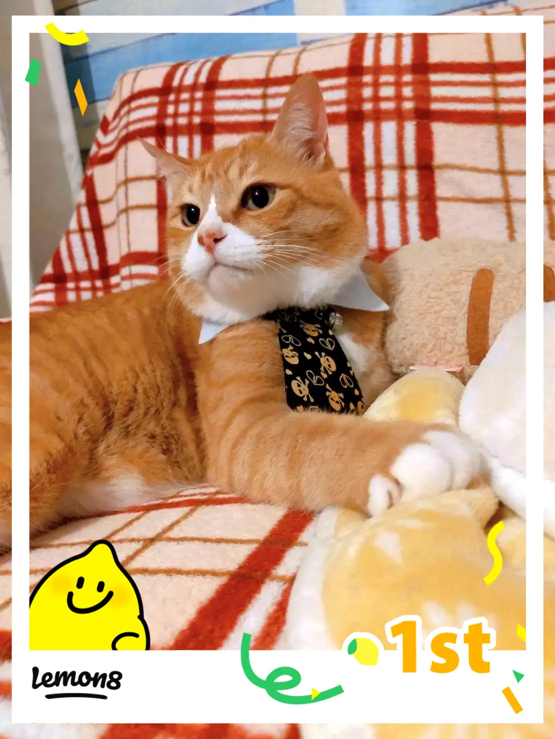 ぐでねこちゃんヘアクリップ　春×ミケ猫（オレンジ） ぐでねこちゃんヘアクリップ春×ミケ猫（オレンジ）