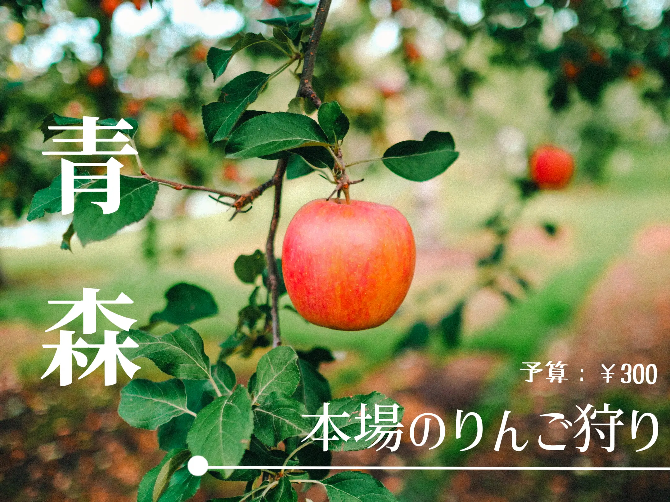 Cospa strongest orchard where you can pick real apples for only 300 yen ...