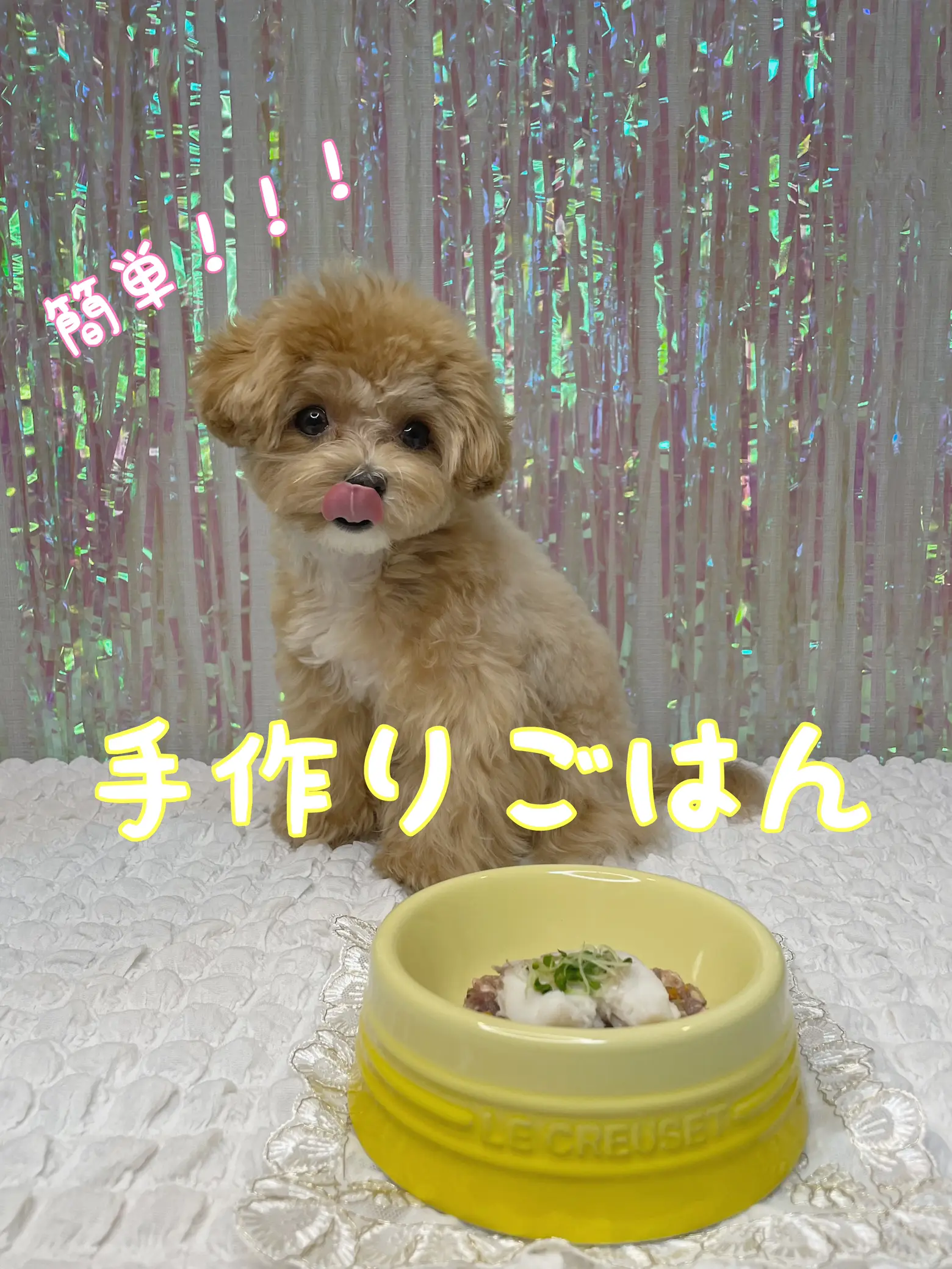 Food and Dog Lovers - Lemon8検索