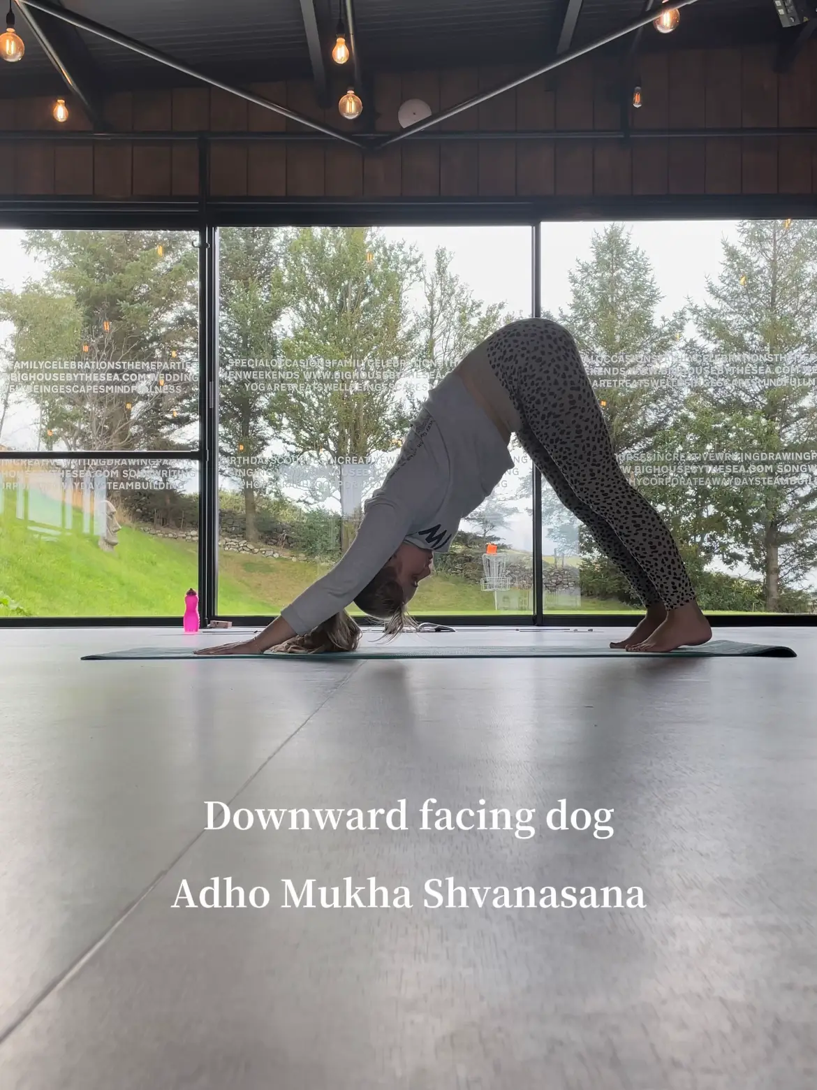 Adho Mukha Svanasana ( Downward Dog), Gallery posted by RnB Yoga Bae