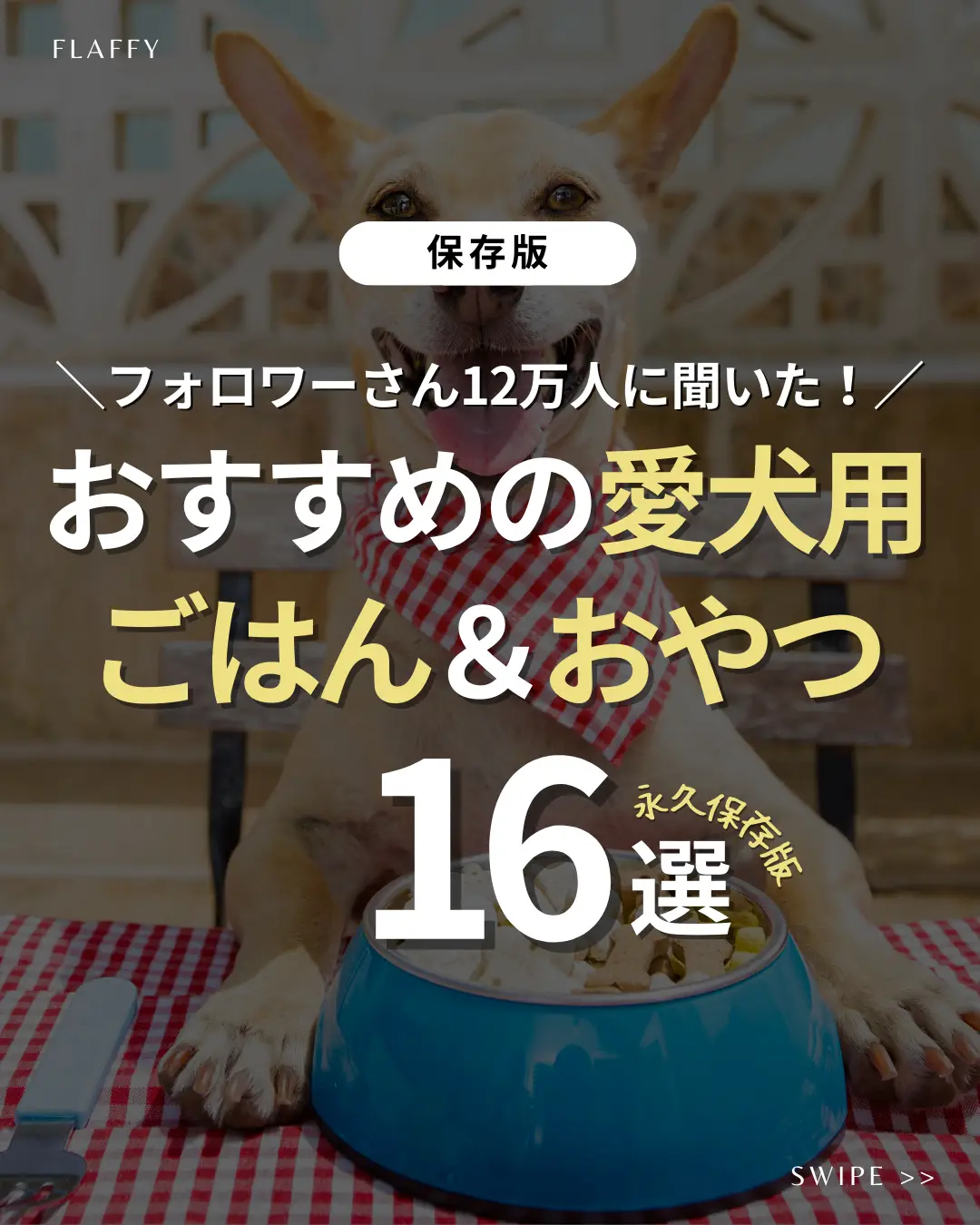 犬食べていいもの Lemon8検索