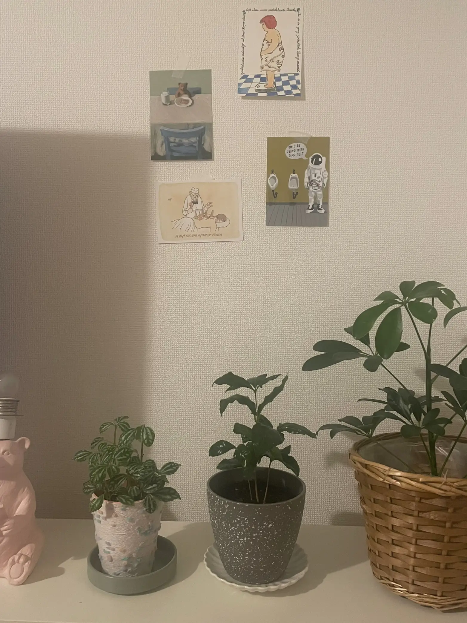 観葉植物とポストカードの画像 (0枚目)