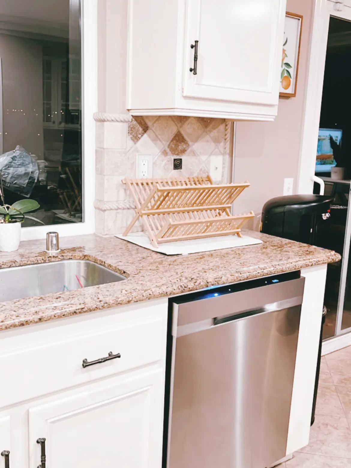 Fotile 3-in-1 In-Sink Dishwasher Review: Kitchen Space-Saving Solution