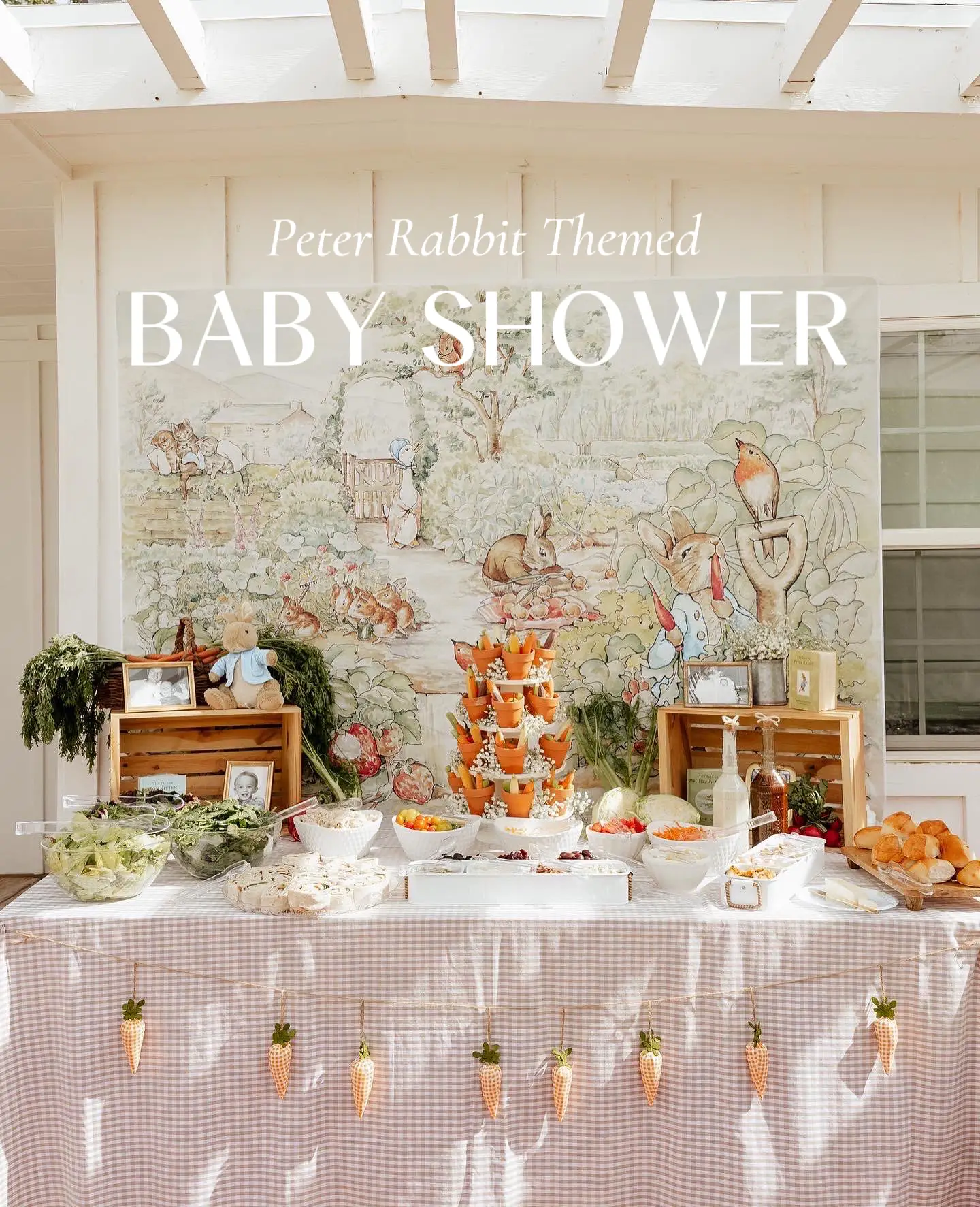 peter rabbit baby shower