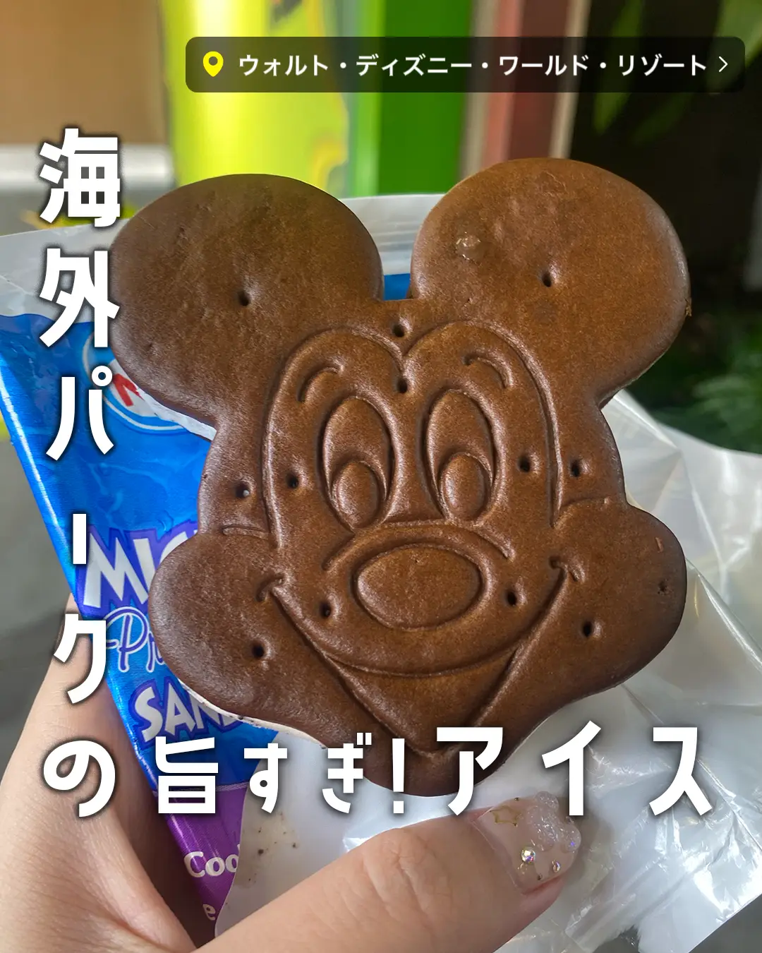 ディズニーランド ミッキー クッキーサンドアイス ポーチ パークフード - おもちゃ