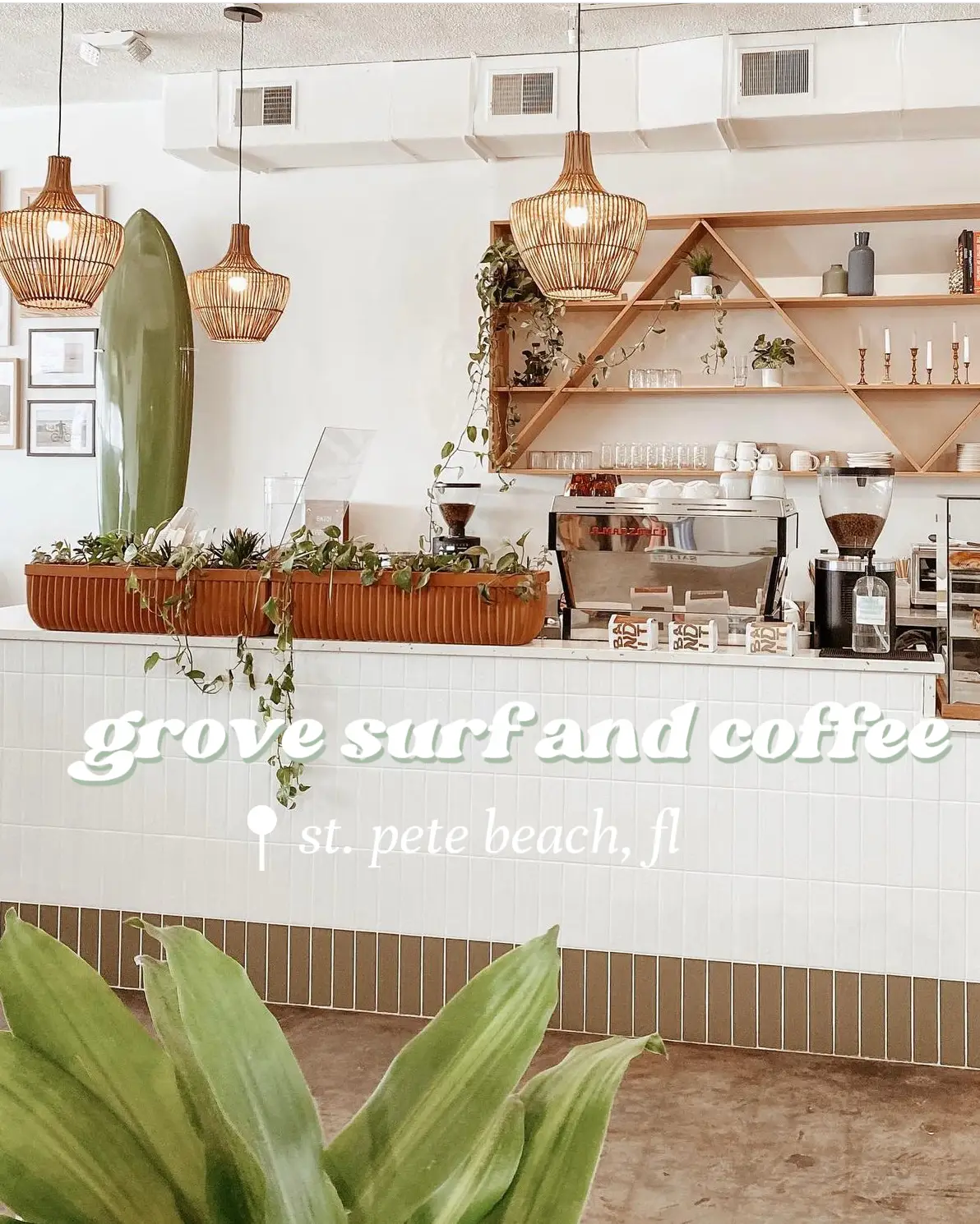 cutest coffee shop boutique in st. pete florida's images(0)