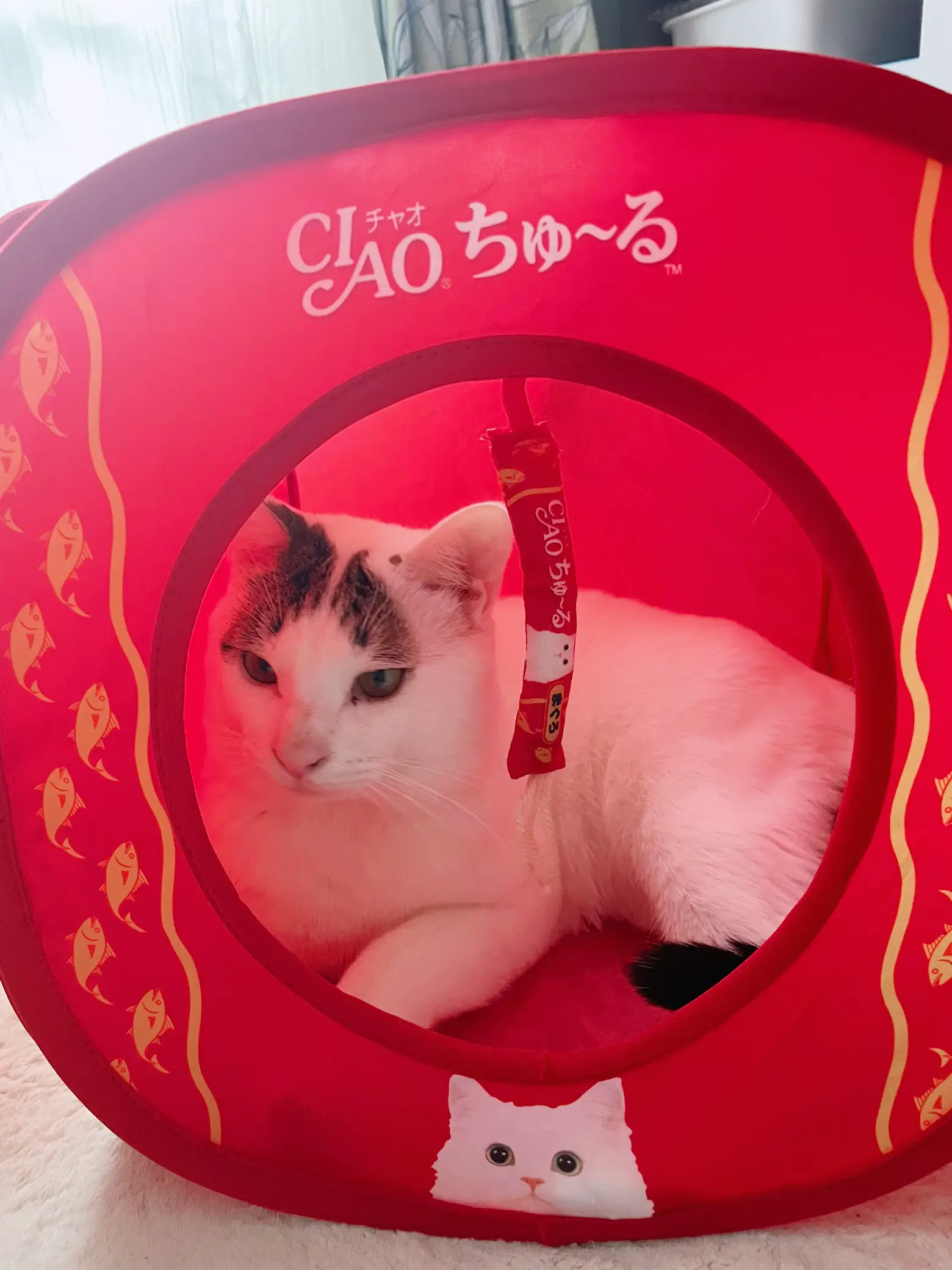 要問合せ♥️可愛いピンクハウス♥️移動も楽チン♪ペットハウス　犬　ネコ　白 要問合せ♥️可愛いピンクハウス♥️移動も楽チン♪ペットハウス