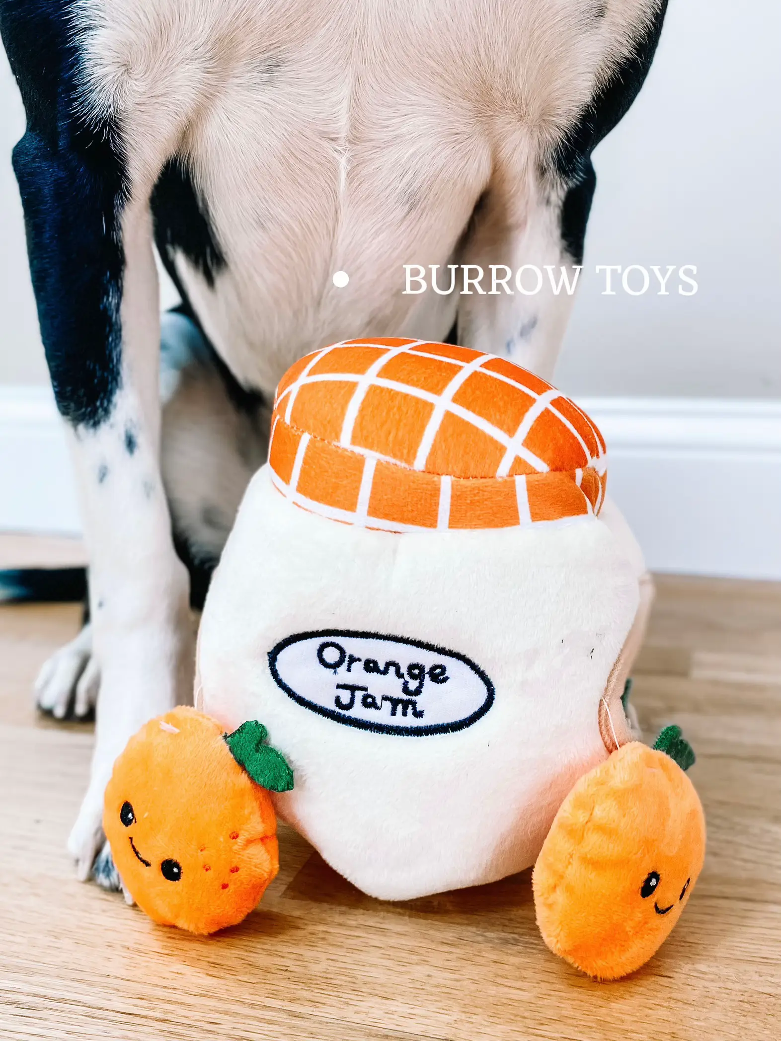 EASY DOG FOOD TOYS- BOREDOM BUSTERS- ENRICHMENT TOY RECIPES 