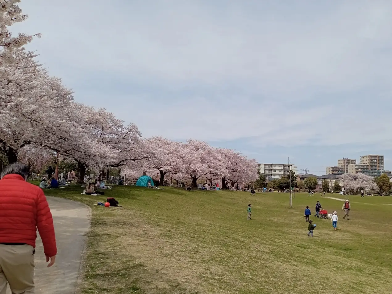 大学 割引 再販⑤桜【pink*flower*happiness】春の訪れ シーグラスアート 立体・オブジェ