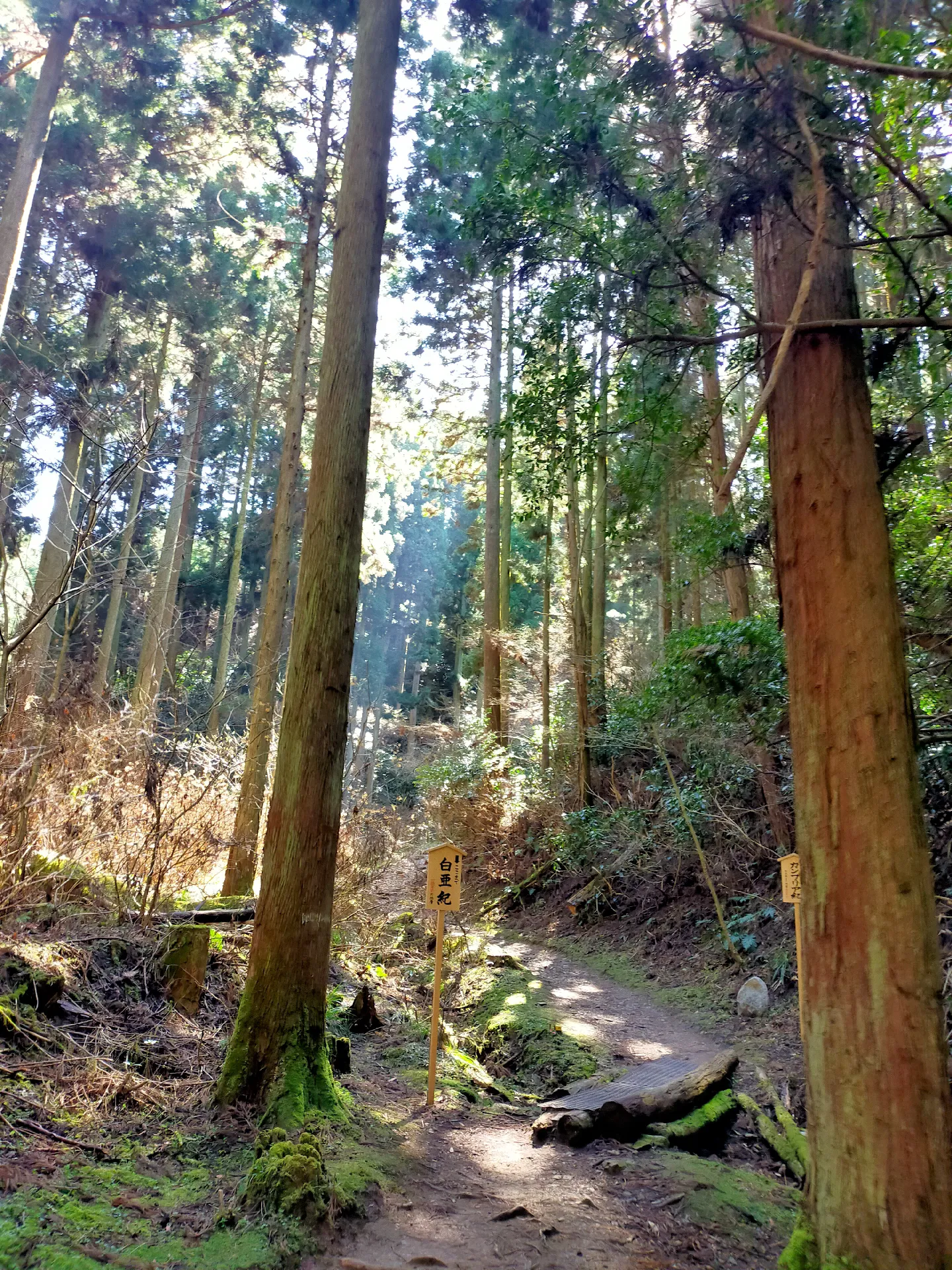 御岩神社心清らかになる最強パワースポット！ | minakoʚ⃛ɞが投稿したフォトブック | Lemon8