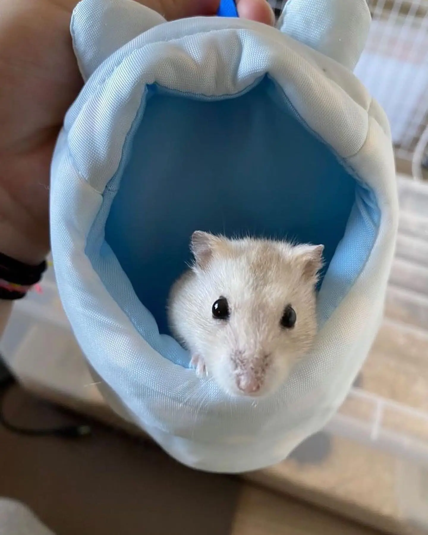 ちゃまま様確認用 ハムスター グラスハーモニー450用 ロフト(ハウス  