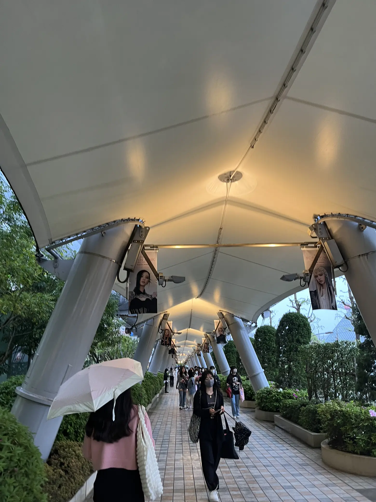 Maje ベージュ コケティッシュ リブニット Blackpink ジェニ 