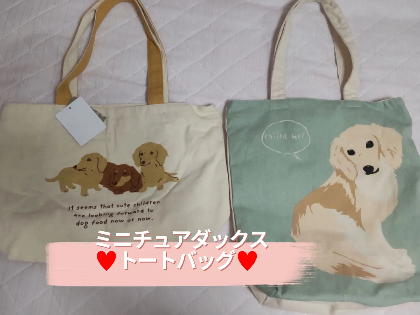 かわいい♡トイプーちゃん ミニトートバッグ - www.bisaggio.com.br