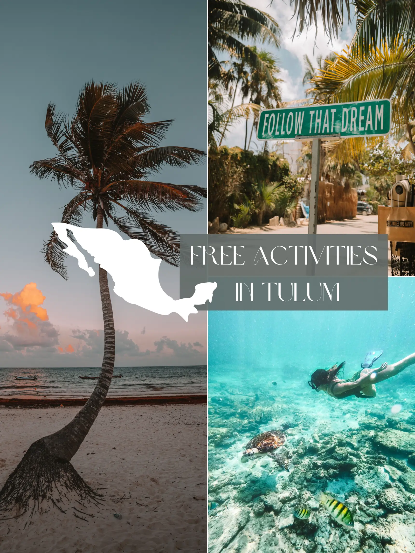 Free Activities in Tulum | Gallery posted by Keiko Vassalli | Lemon8