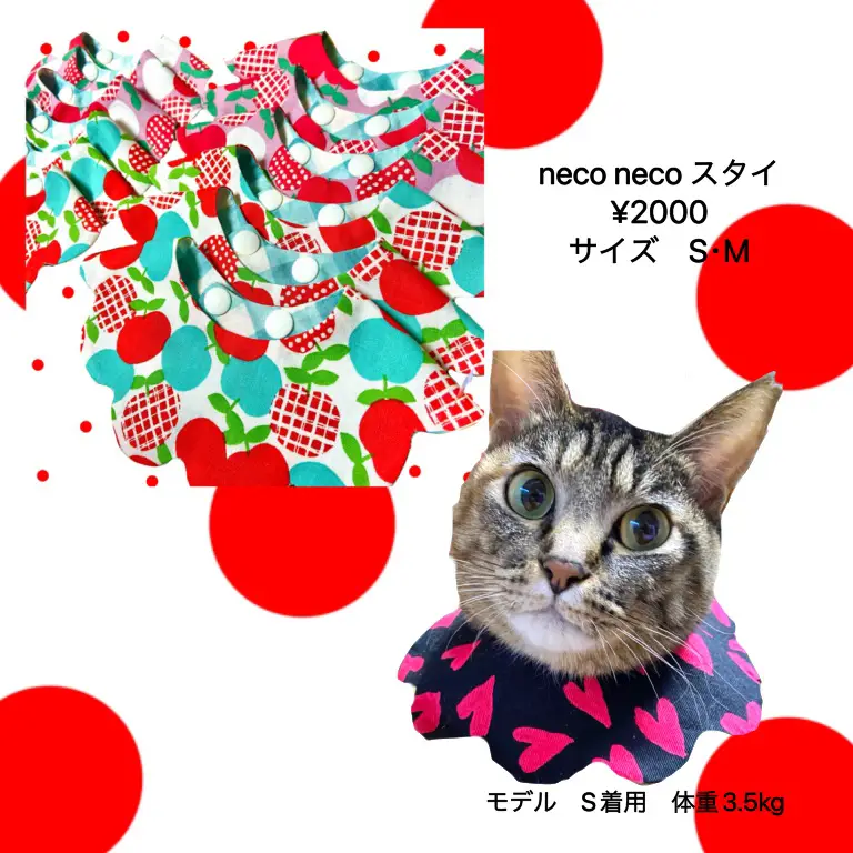フォロワー様限定400円　世界に1つだけの猫たちのハンドメイドメッセージカード フォロワー様限定400円世界に1つだけの猫たちのハンドメイド