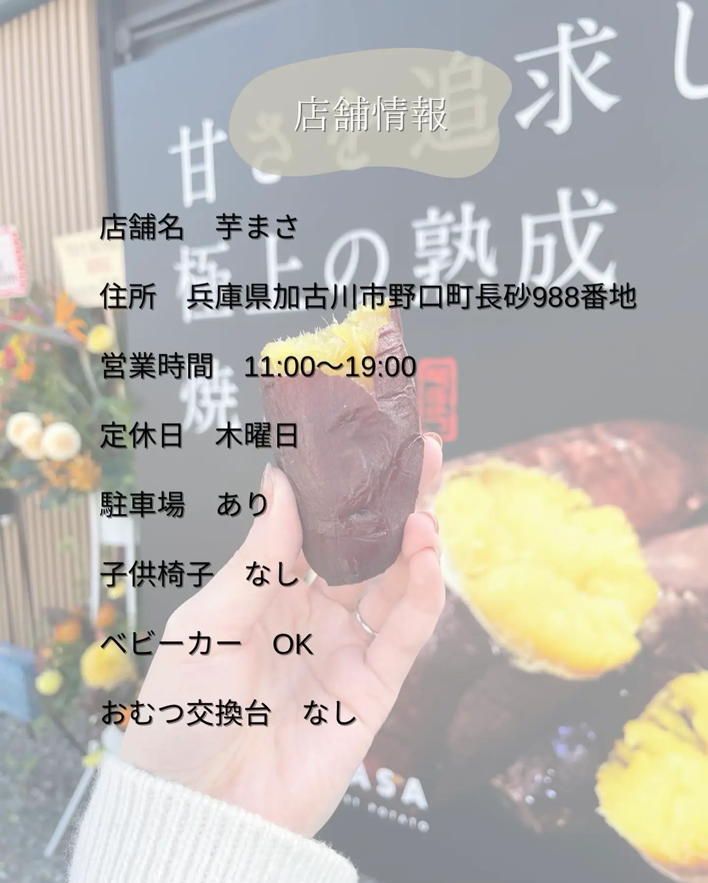 焼いも焼けます 専用台付き 売れてます ねっとり ほくほく ガスコンロ付き 焼き芋機 屋台 イベント 副業 焼き芋器(さつまいも)｜売買されたオークション情報、yahooの商品情報をアーカイブ  野菜、果物